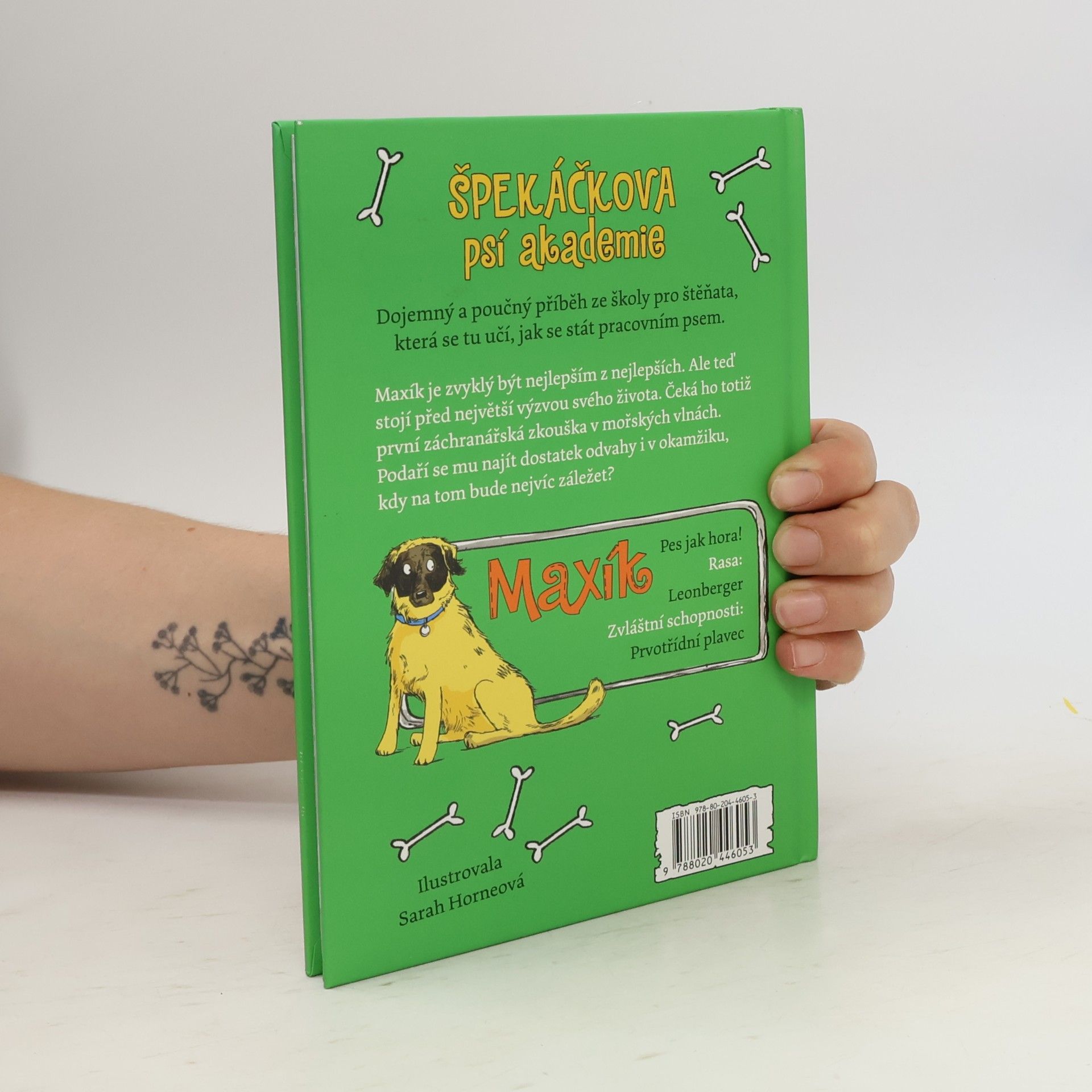 Gill Lewis Maxík a záchrana ve vlnách. Špekáčkova psí akademie 4