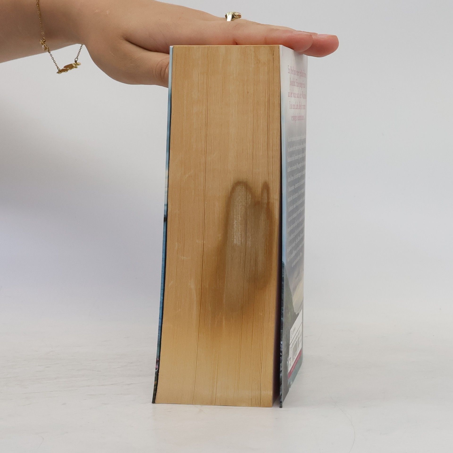Lucinda Riley Der Verbotene Liebesbrief