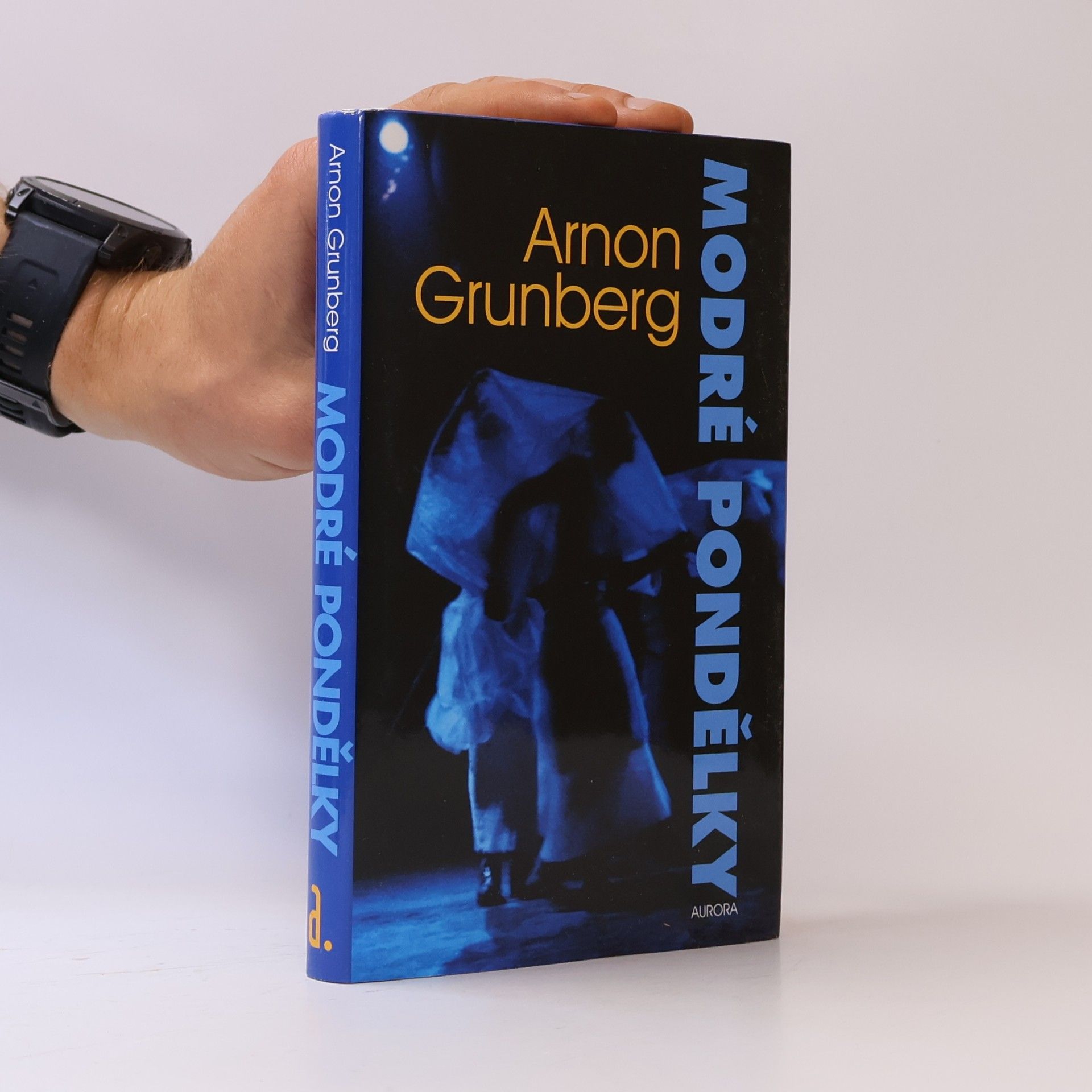 Arnon Grunberg Modré pondělky