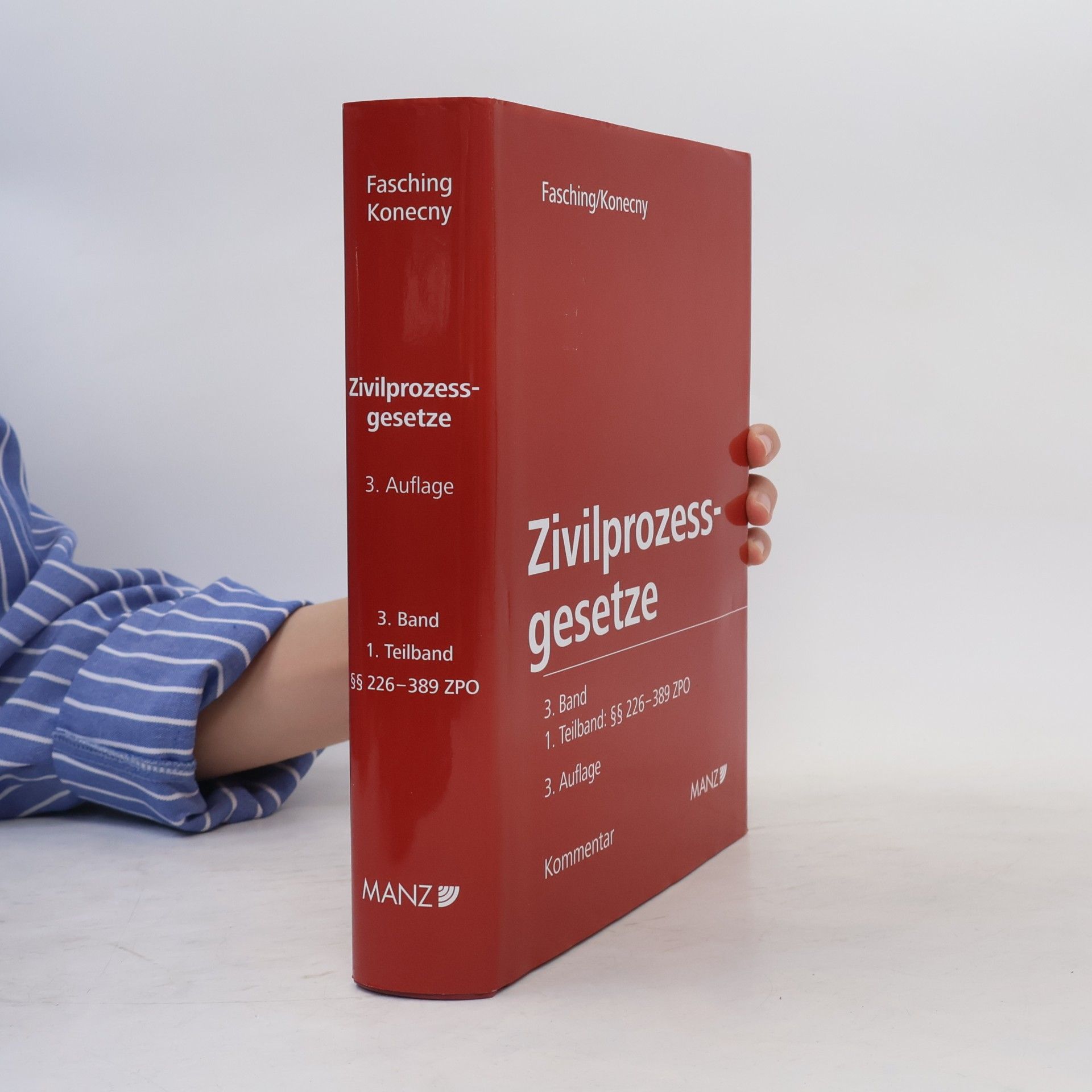 Kommentar zu den Zivilprozessgesetzen