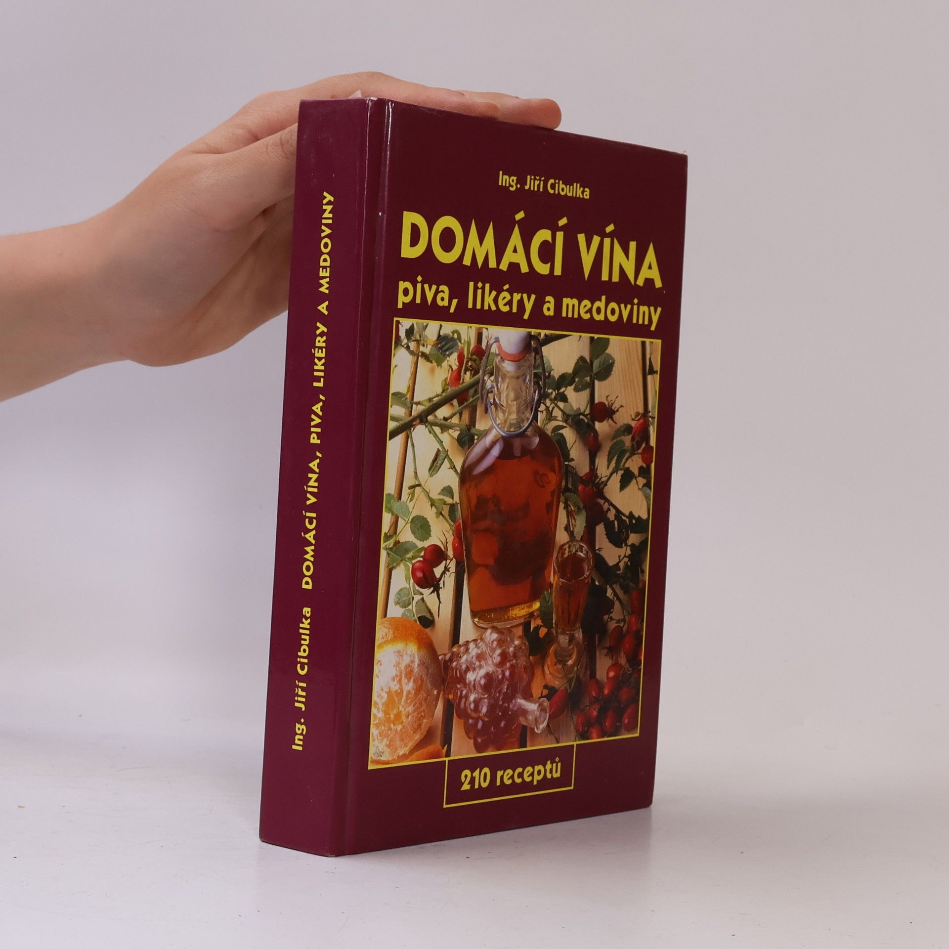 Jiří Cibulka Domácí vína: Piva, likéry a medoviny