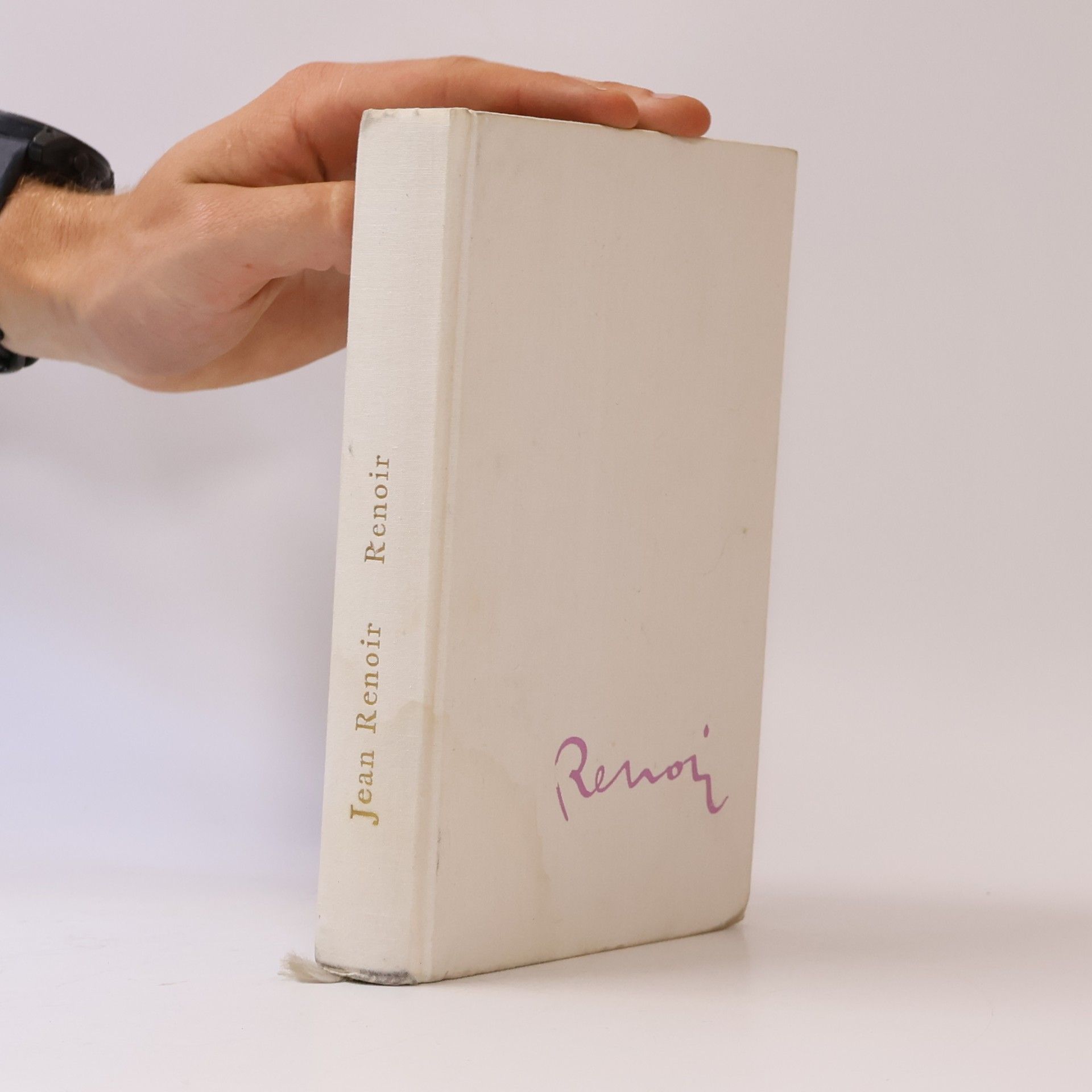 Autorenkollektiv Renoir