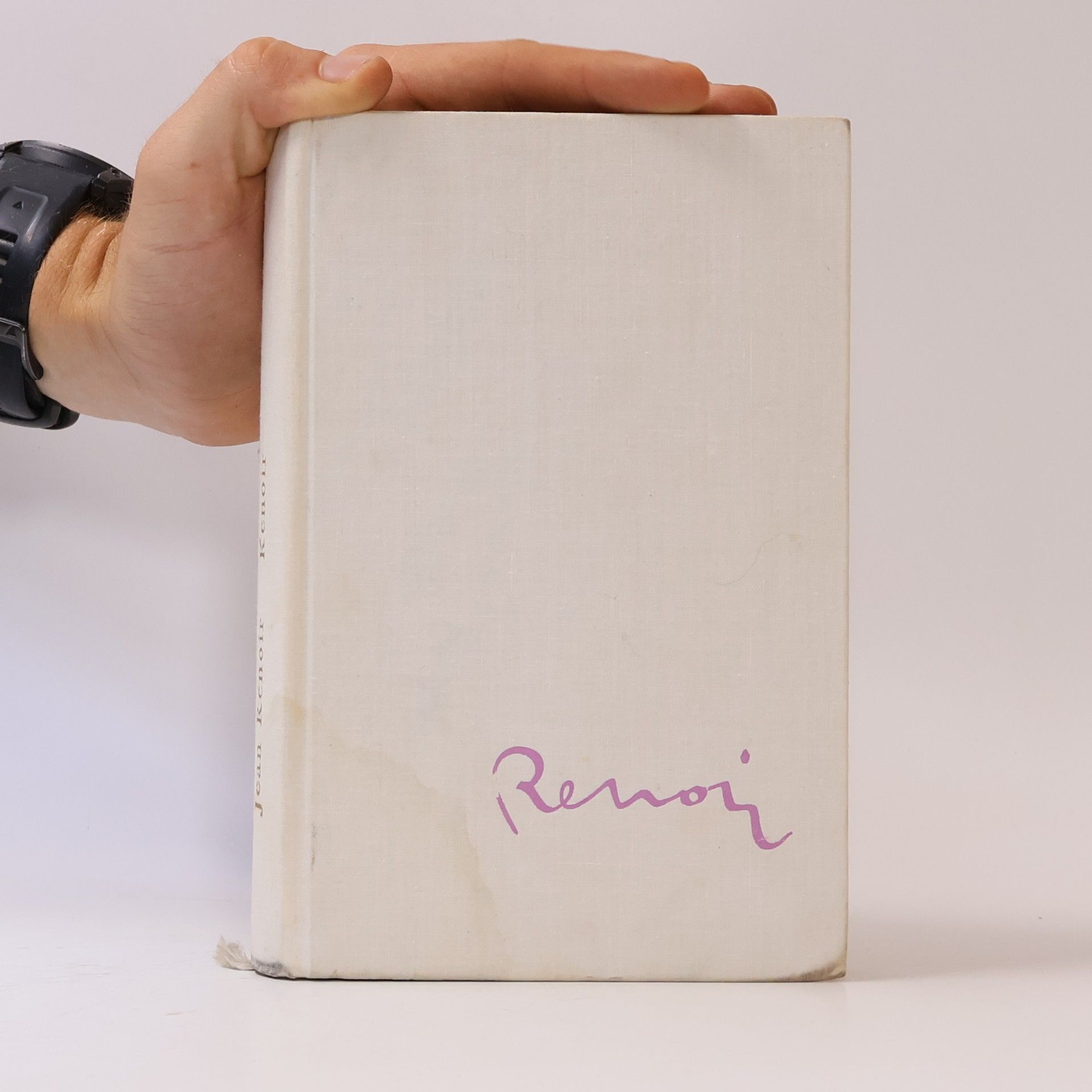 Autorenkollektiv Renoir