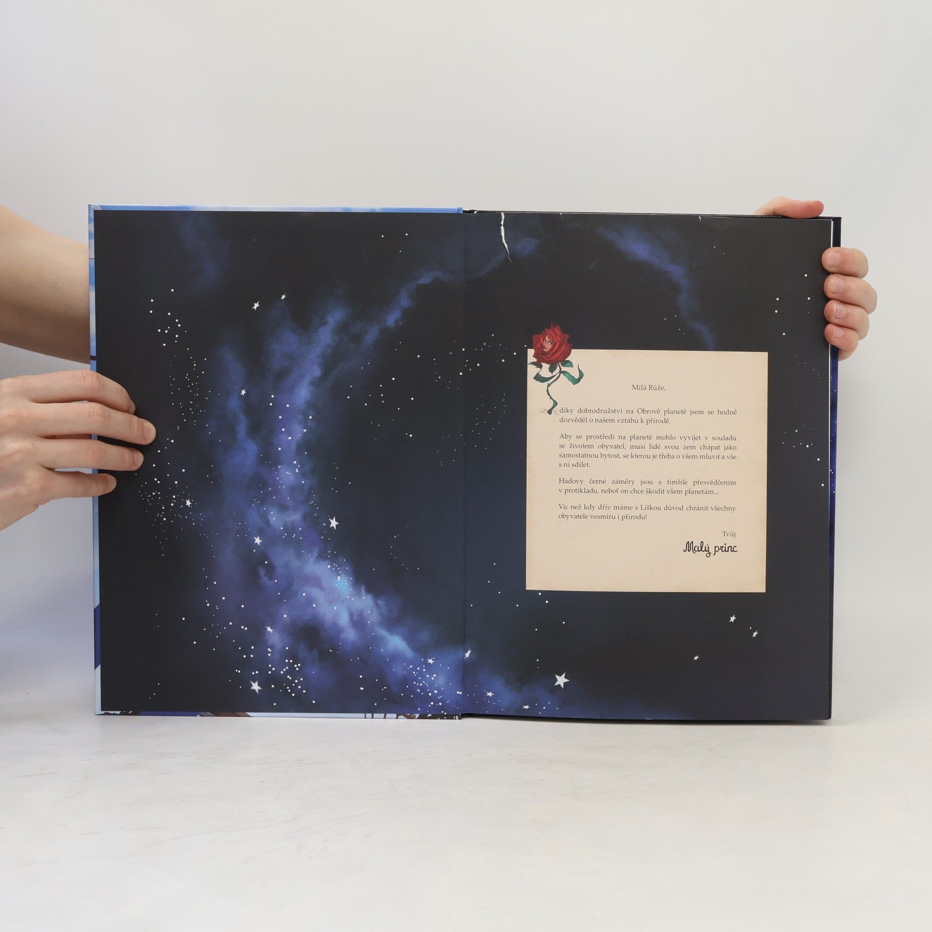 Antoine de Saint-Exupéry Malý princ a vagónová planeta
