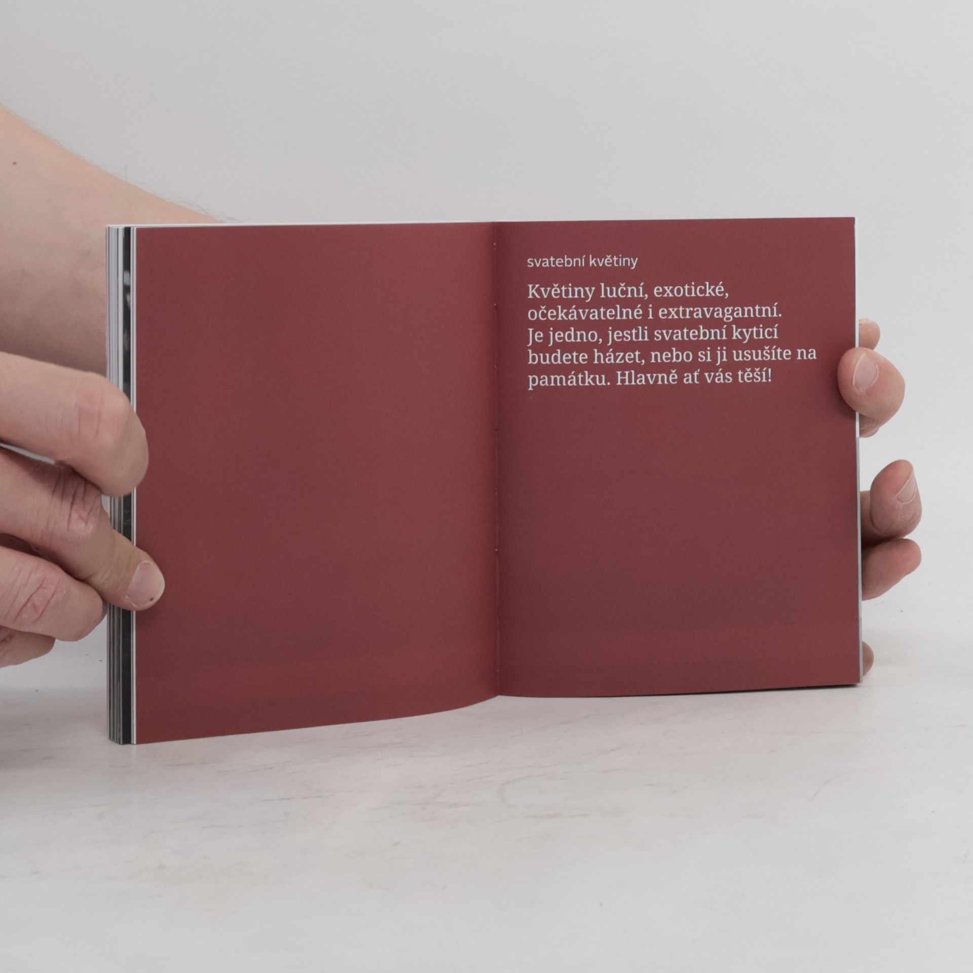 Ilona Karásková Atlas svatebních dodavatelů