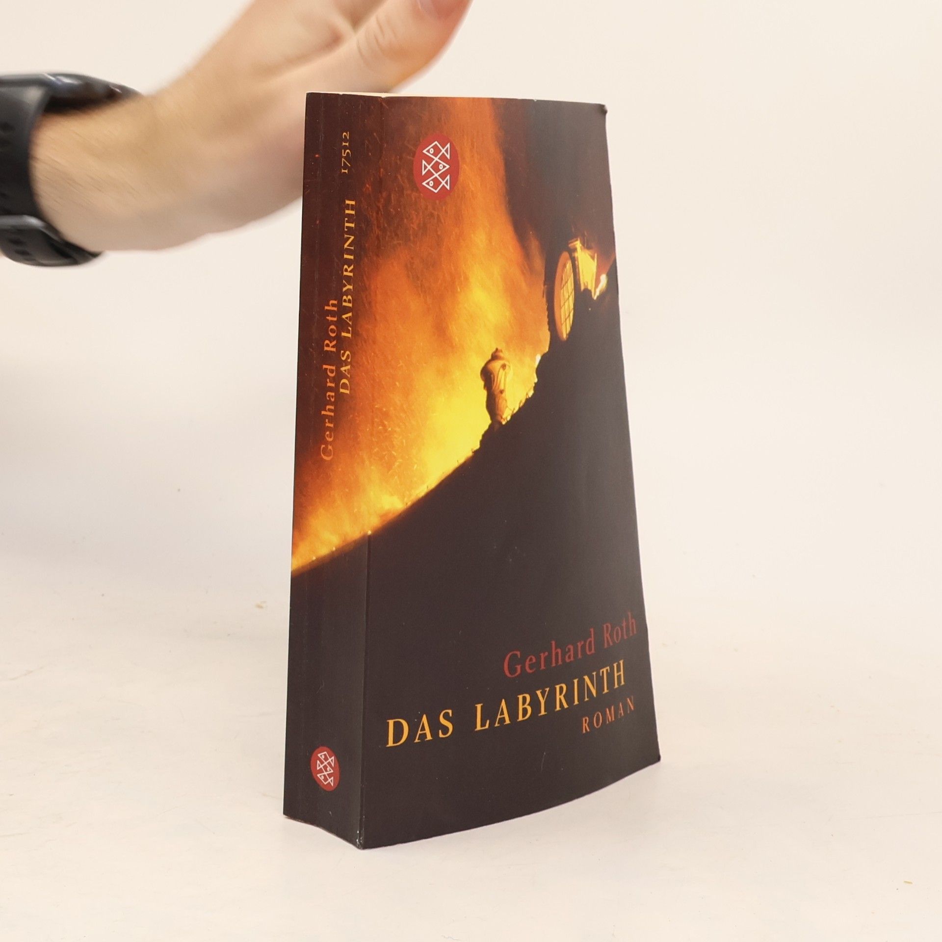 Gerhard Roth Das Labyrinth