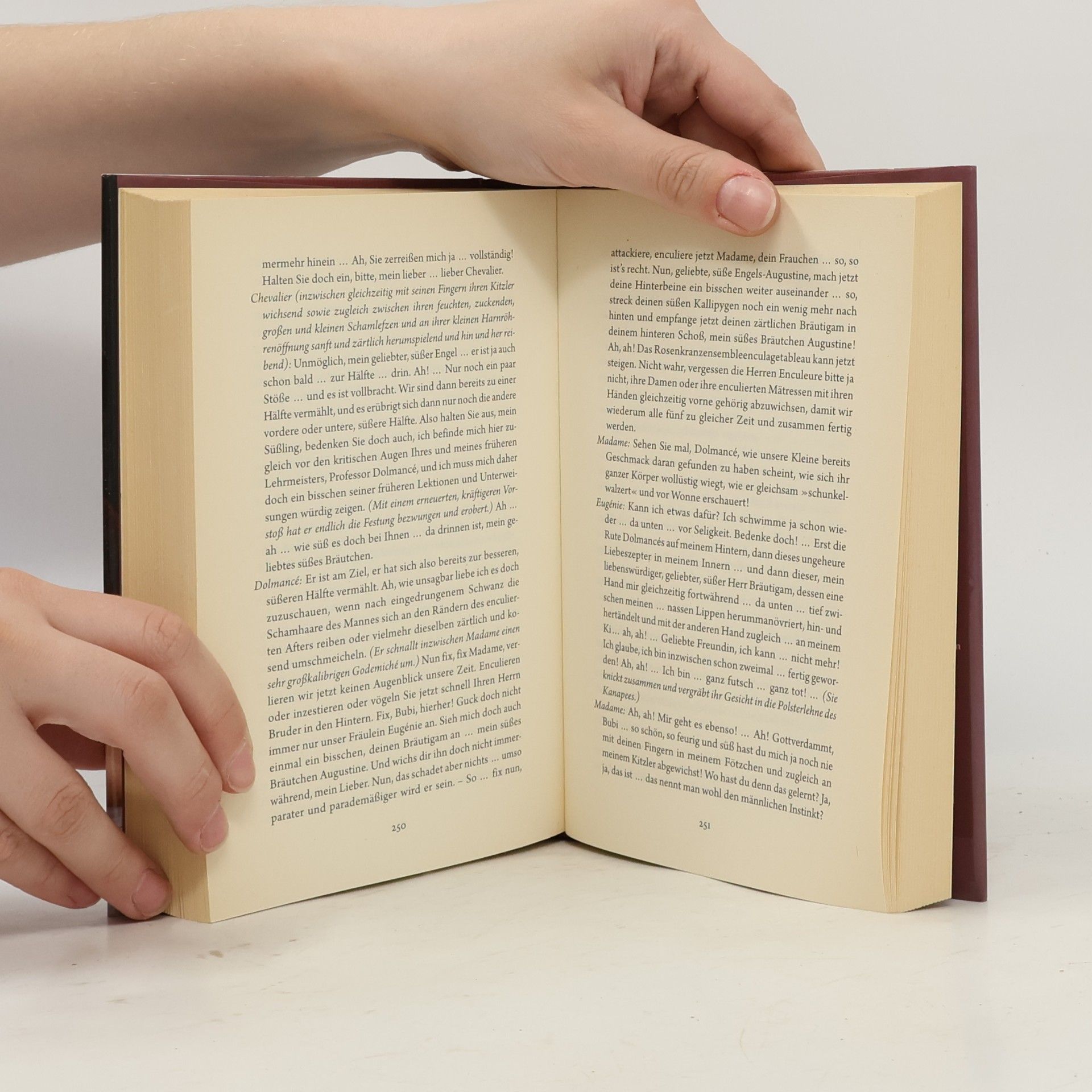 Autorenkollektiv Die Philosophie im Boudoir oder Die lasterhaften Lehrmeister