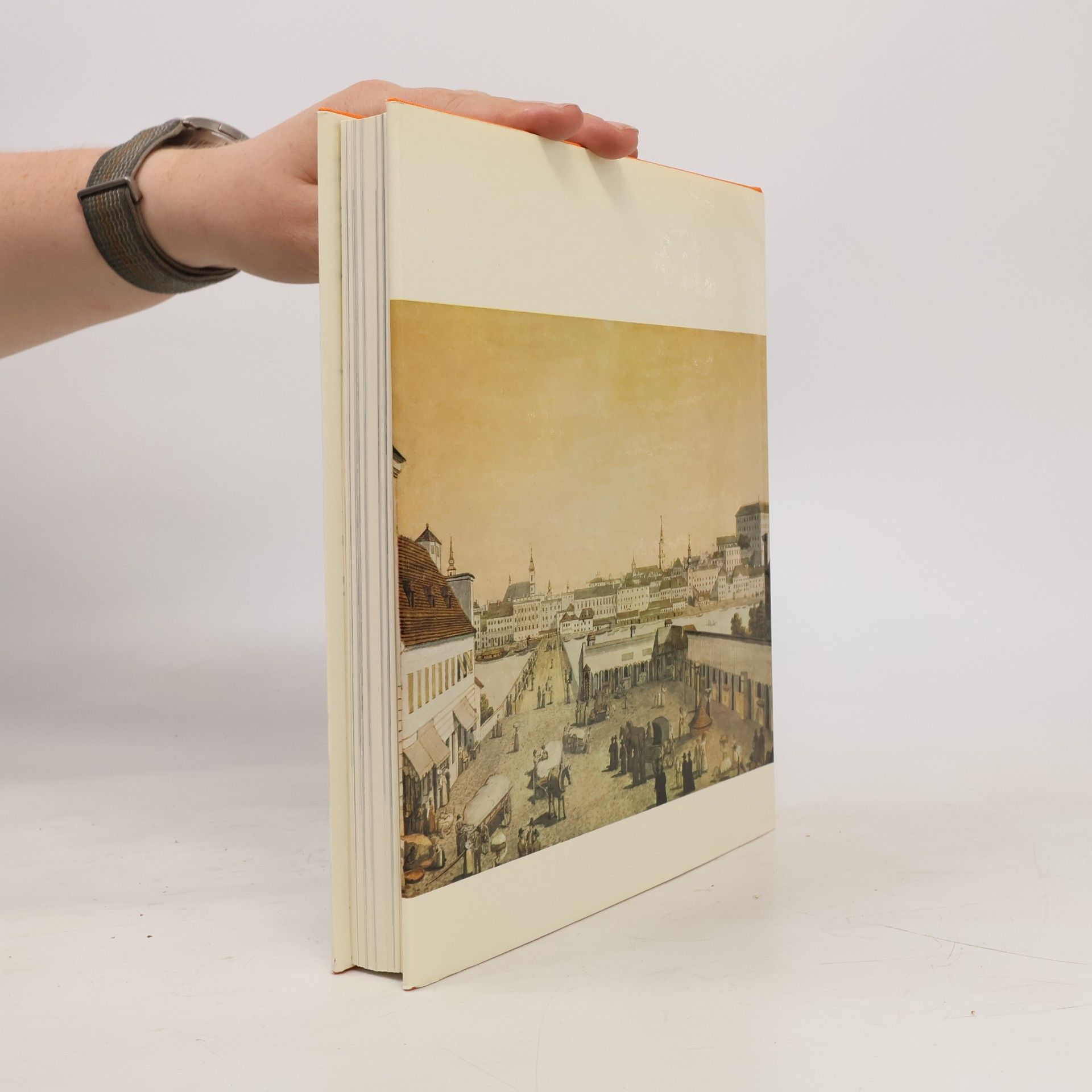Wolfgang Sperner Linz: Porträt einer Stadt