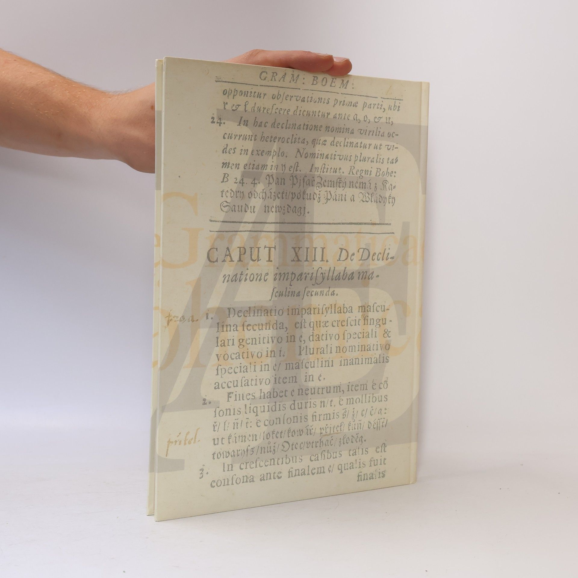 Vavřinec Benedikt z. Nudožer Grammaticae Bohemicae, ad leges naturalis methodi conformatae, et notis numerisque illustratae ac distinctae, libri duo