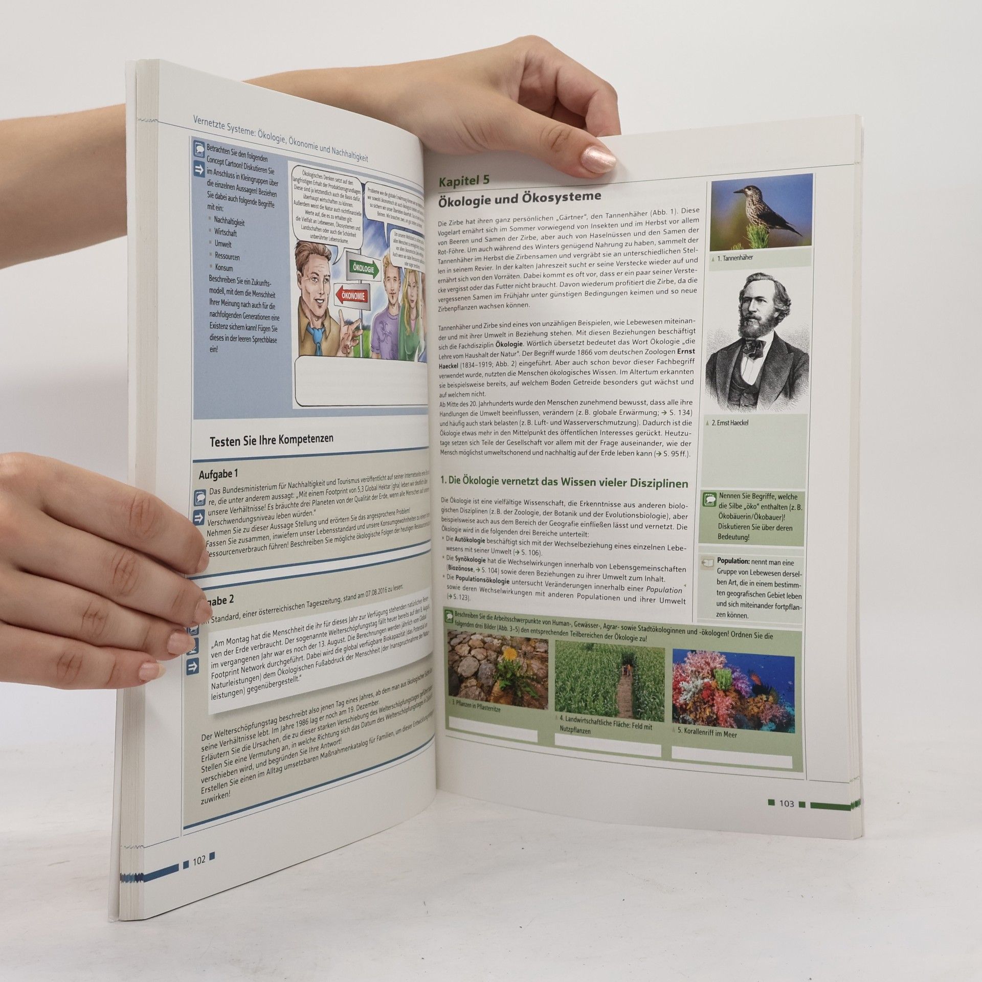 B. Koch Kernbereiche Biologie 6