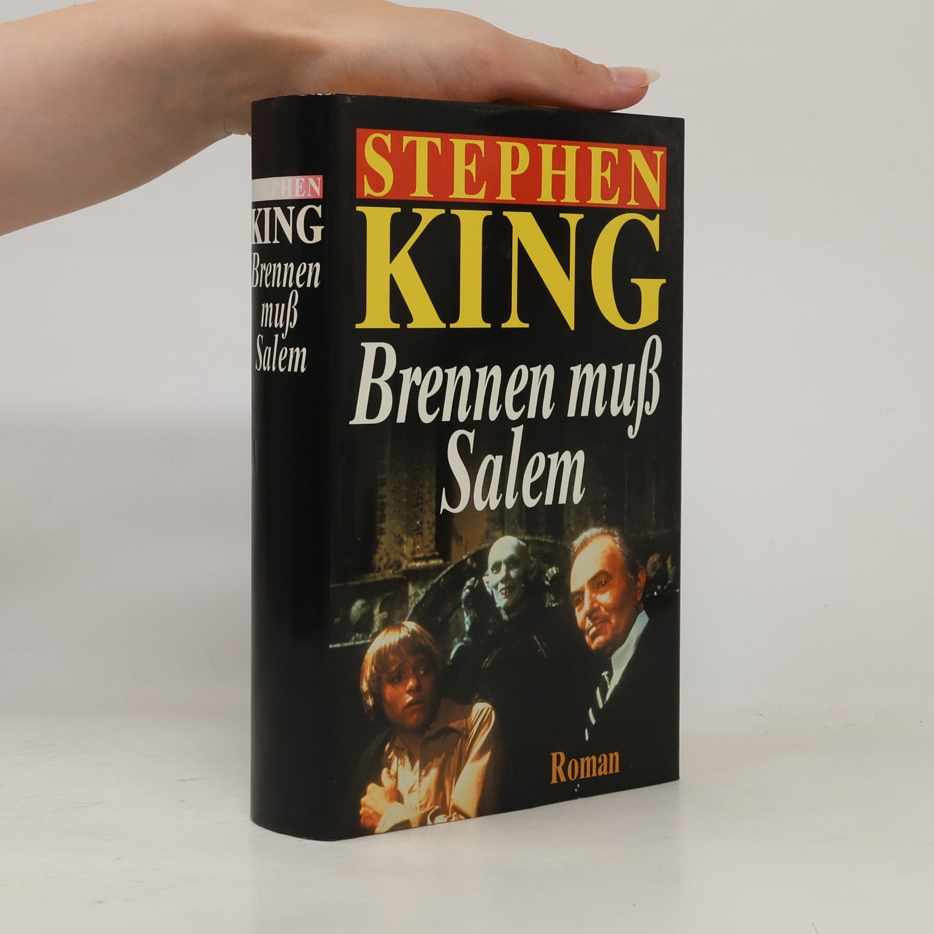 Stephen King Brennen muß Salem