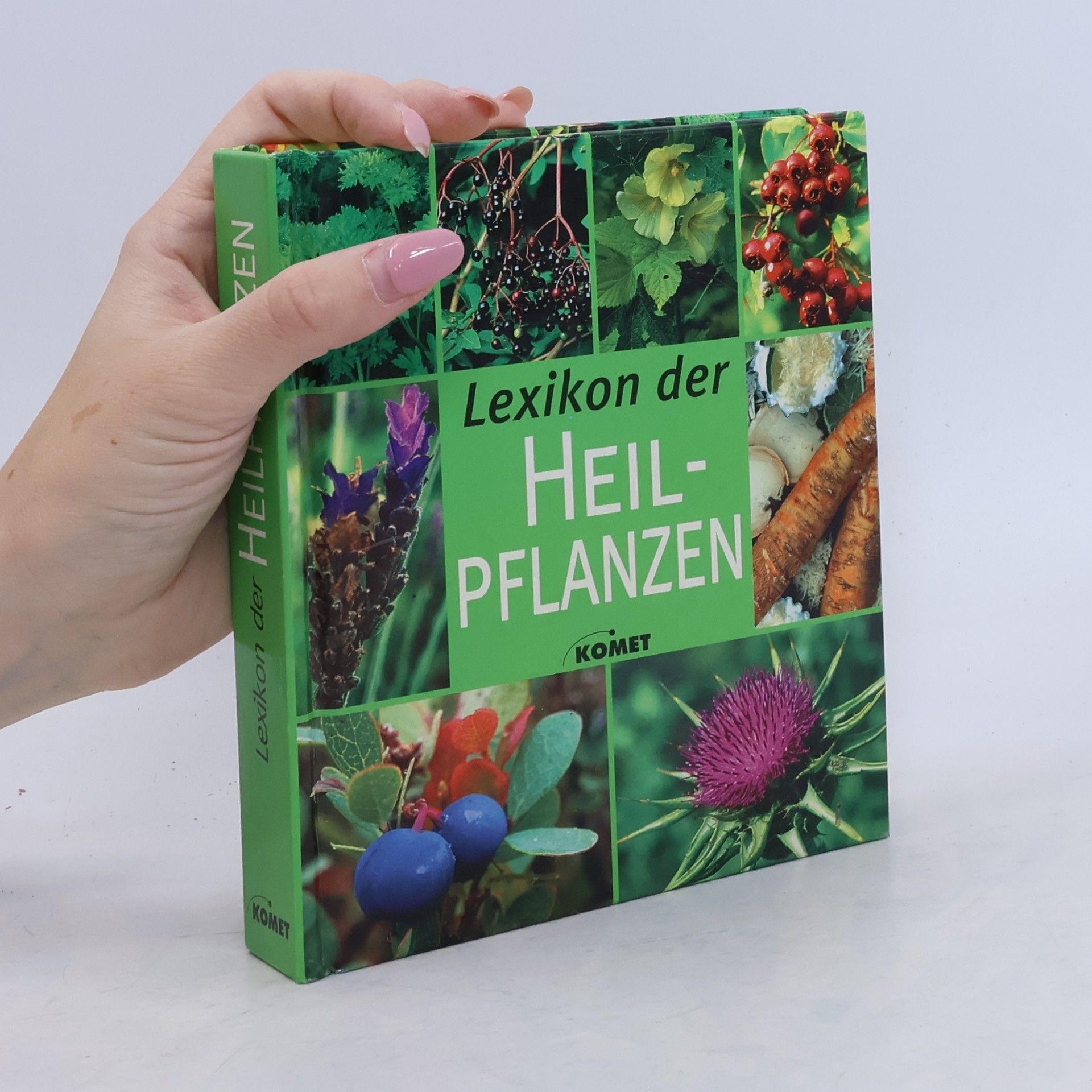 Iris Schmidt Lexikon der Heilpflanzen