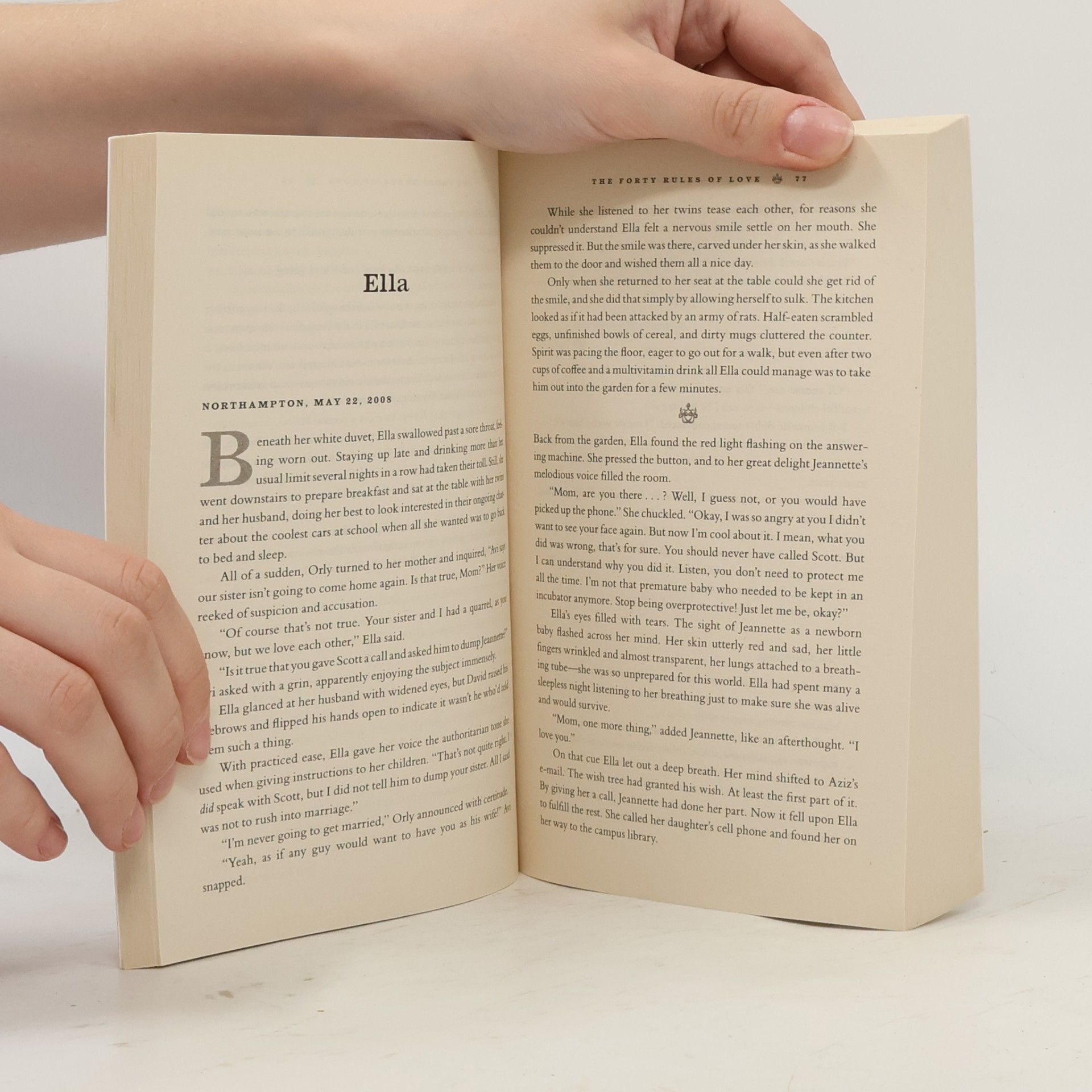 Elif Şafak The forty rules of love