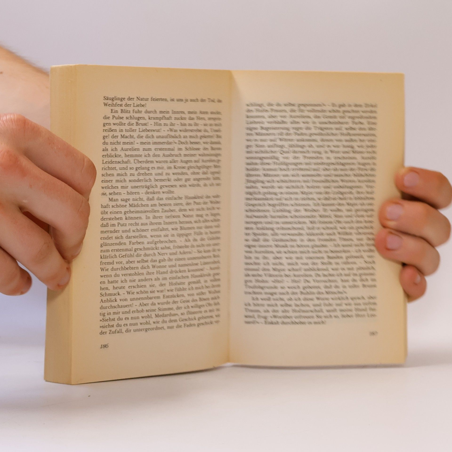 E. T. A. Hoffmann Die Elixiere des Teufels