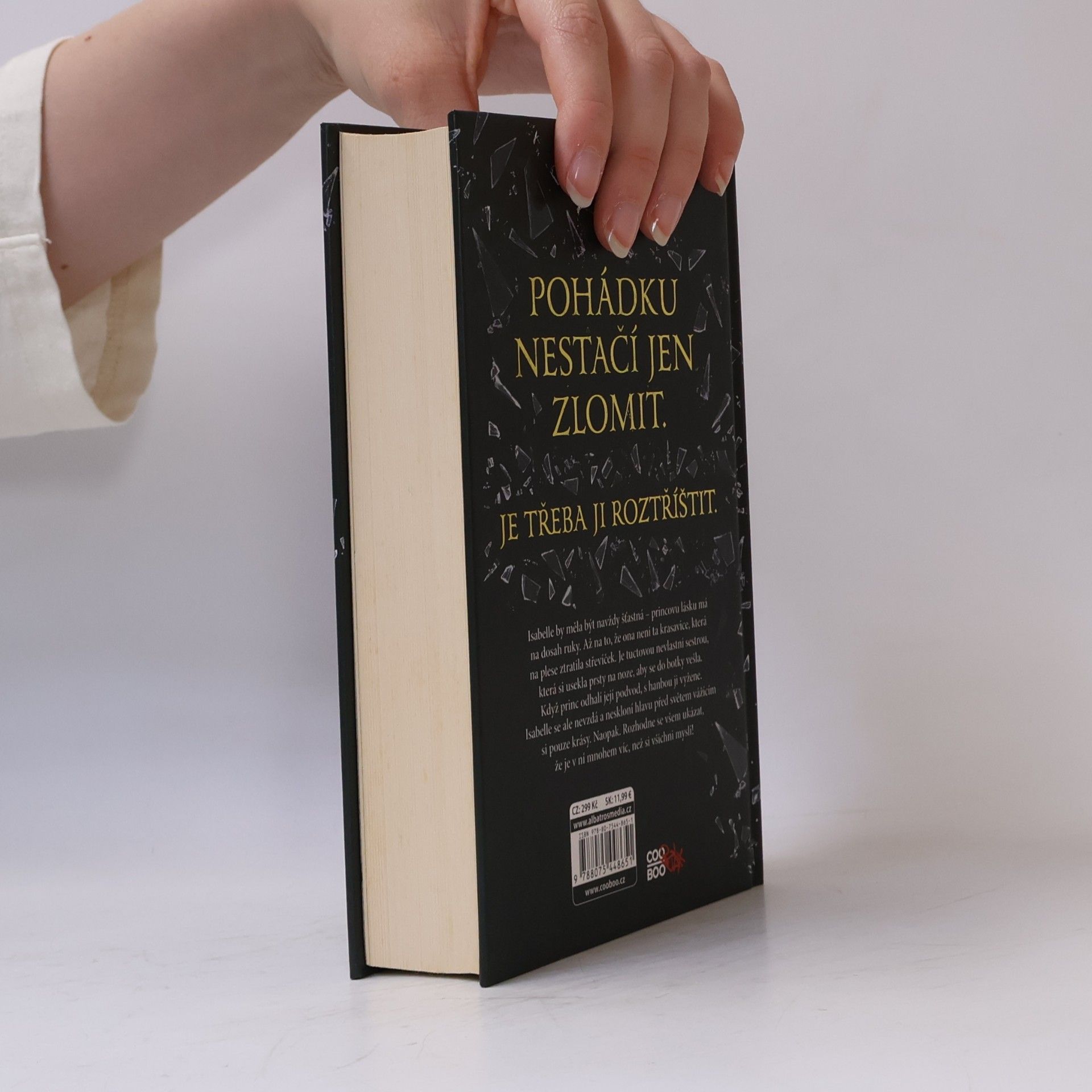 Jennifer Donnelly Nevlastní sestra