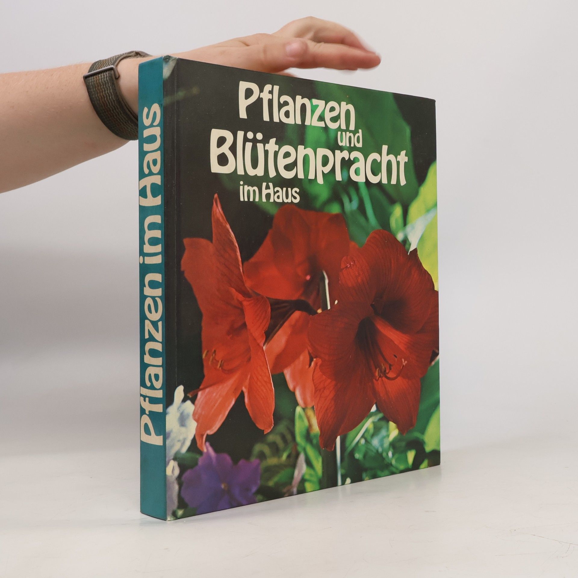 Pflanzen und Blütenpracht im Haus