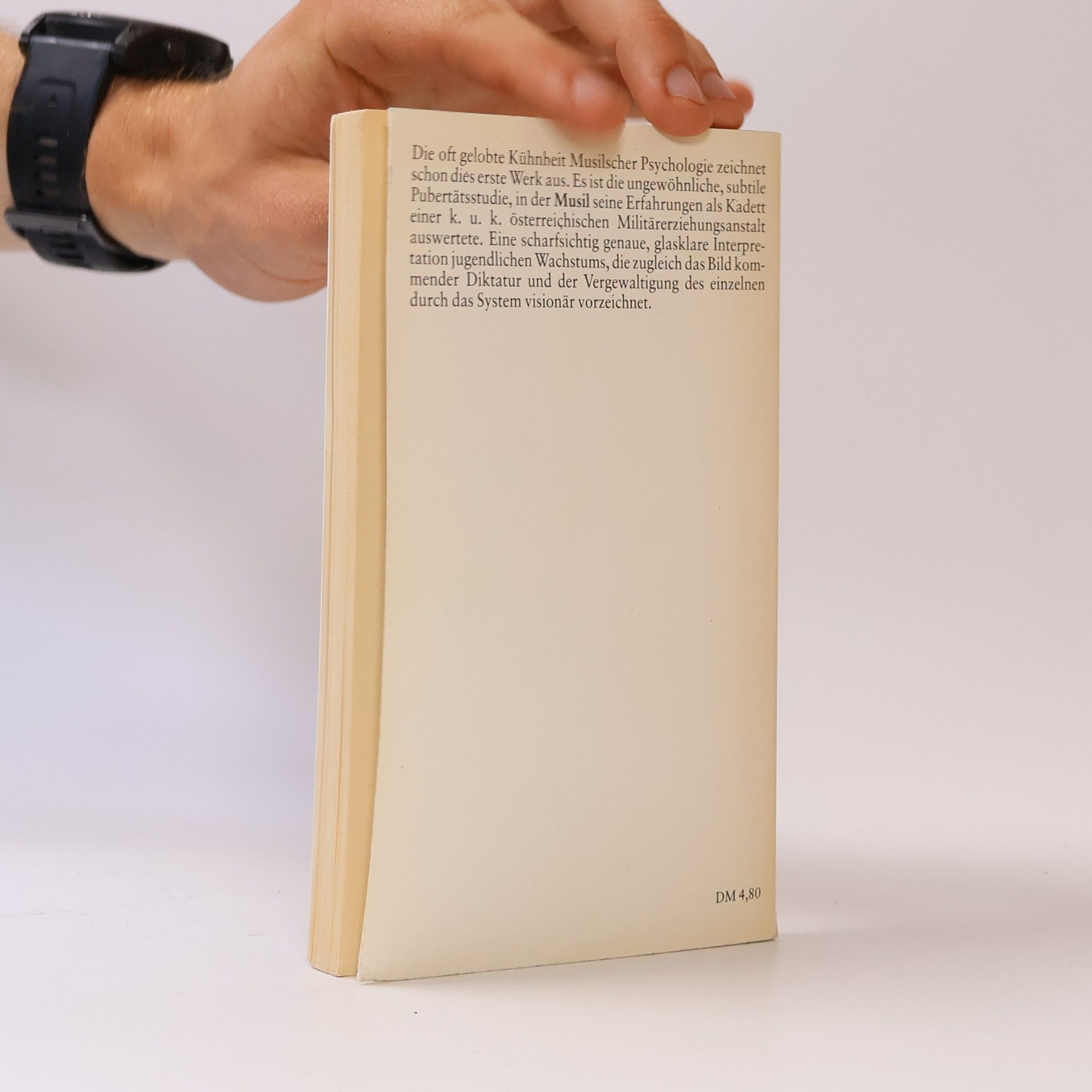 Robert Musil Die Verwirrungen des Zöglings Törless