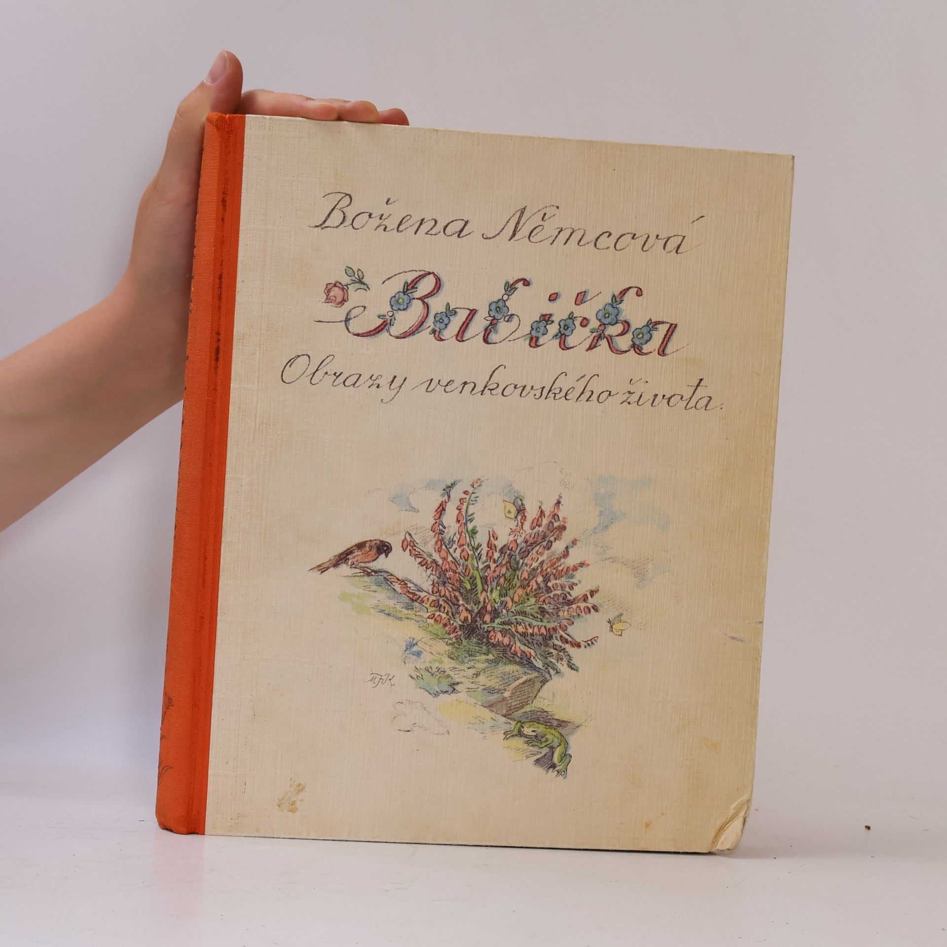 Božena Němcová Babička
