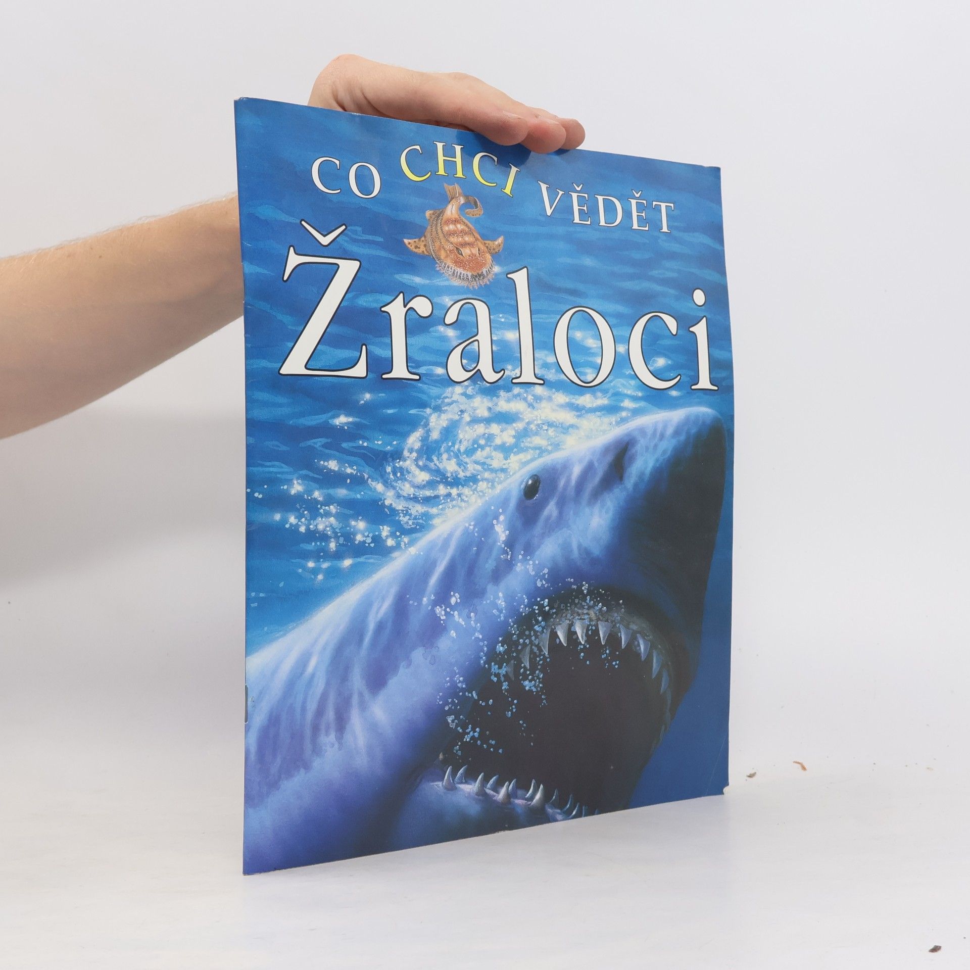 Co chci vědět: Žraloci