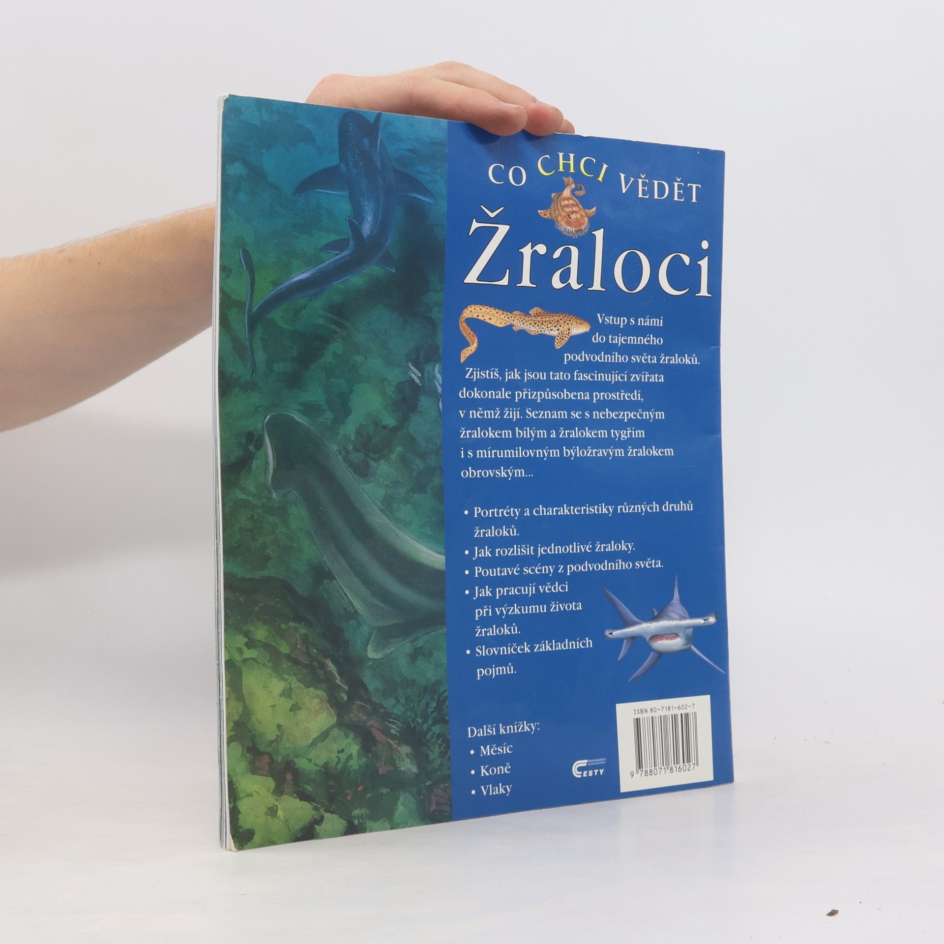 Claire Llewellyn Co chci vědět: Žraloci