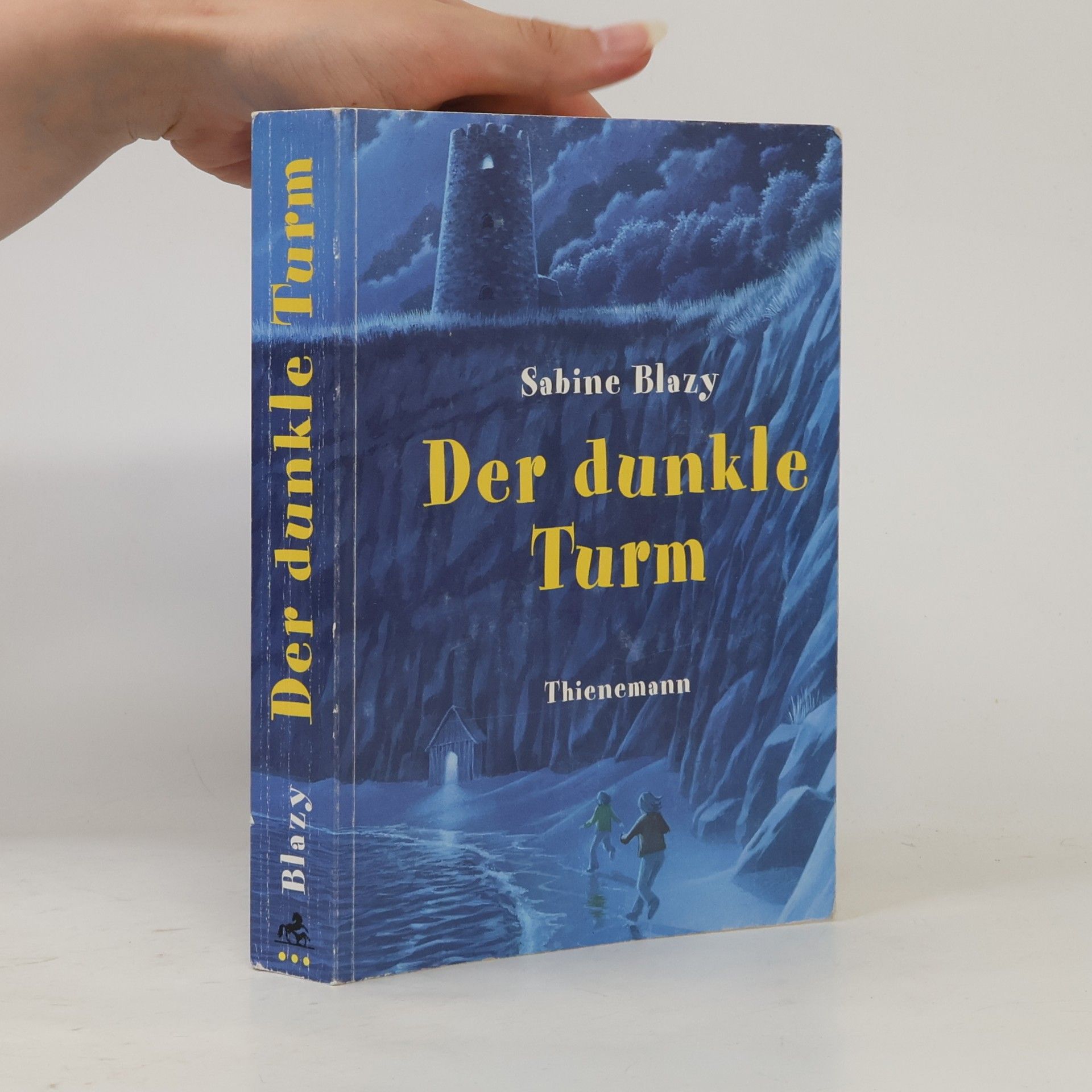Sabine Blazy Der dunkle Turm