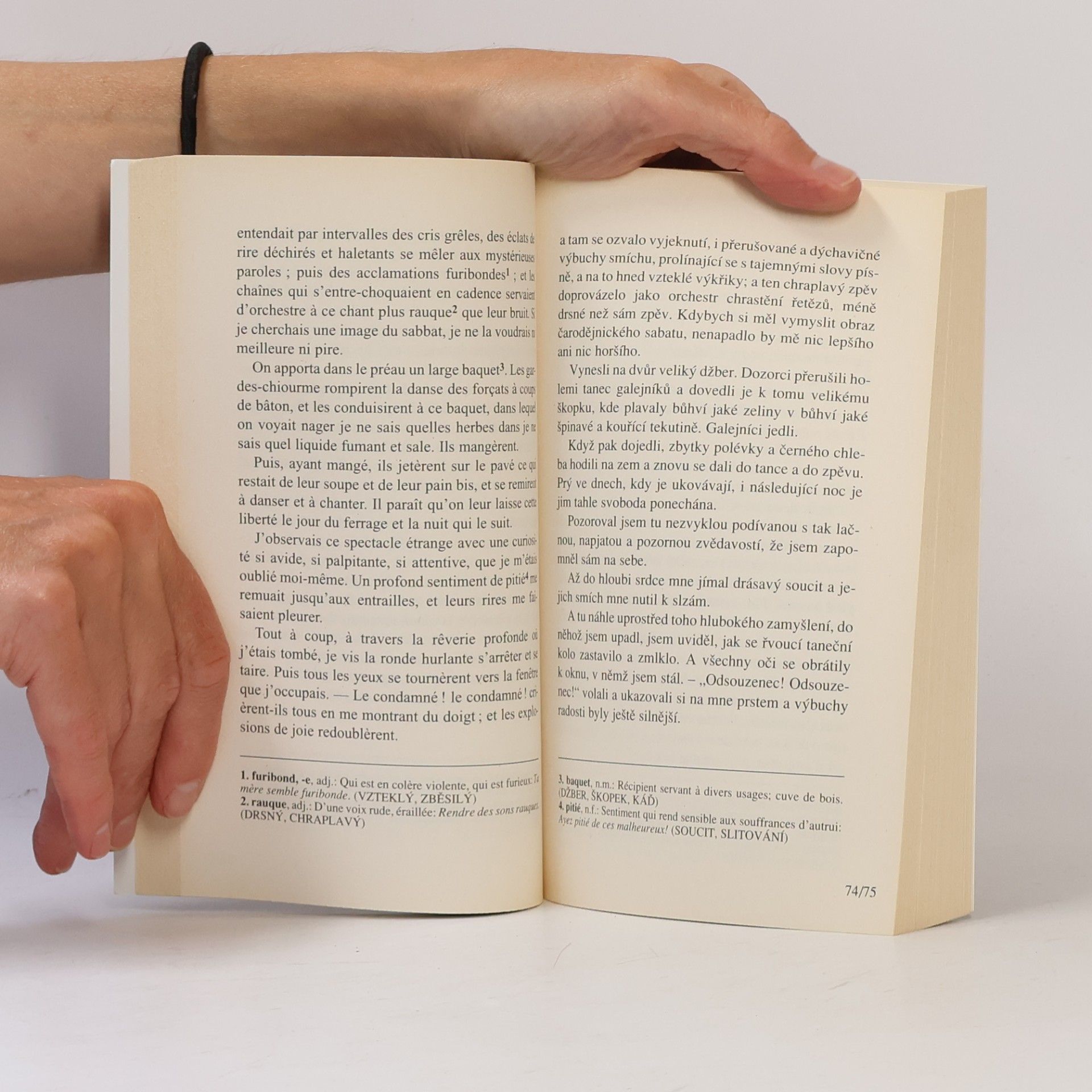 Victor Hugo Le dernier jour d'un condamné. Poslední den odsouzence