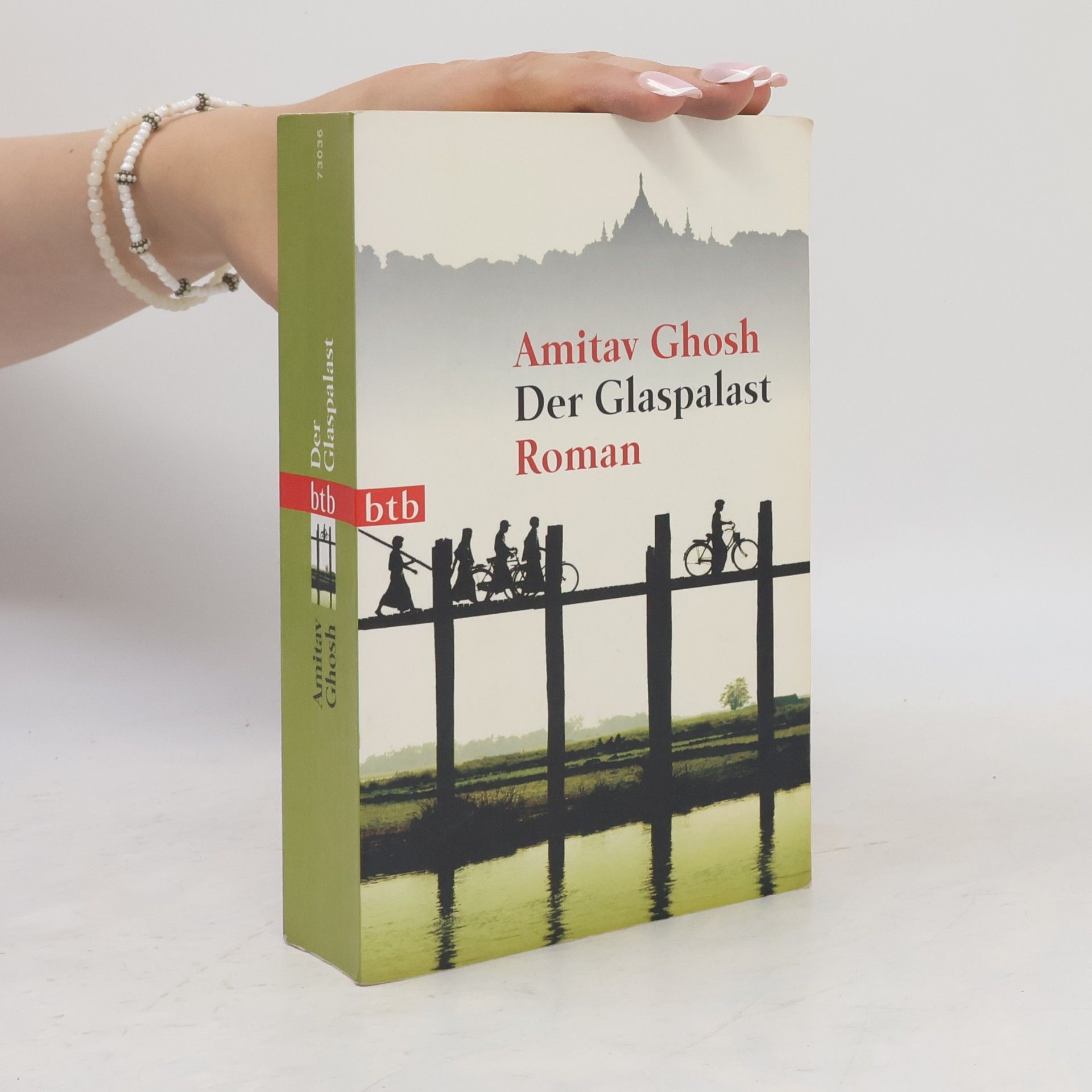 Amitav Ghosh Der Glaspalast