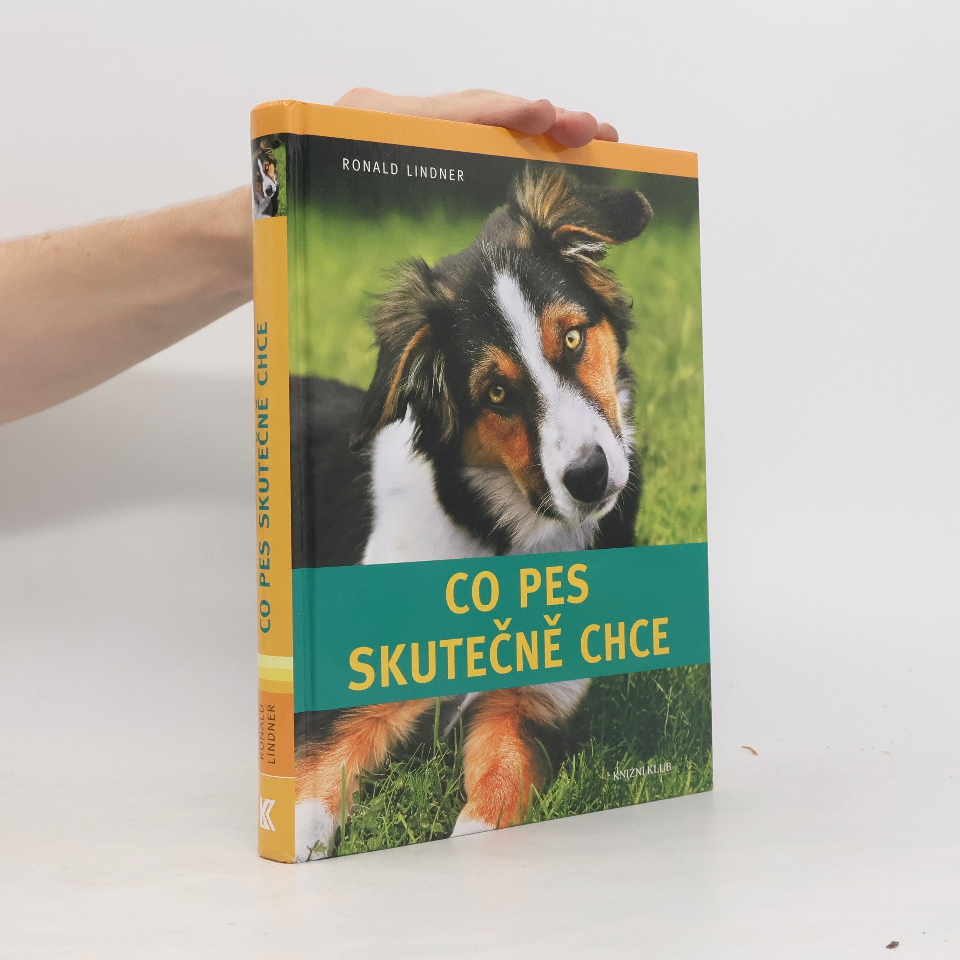 Ronald Lindner Co pes skutečně chce