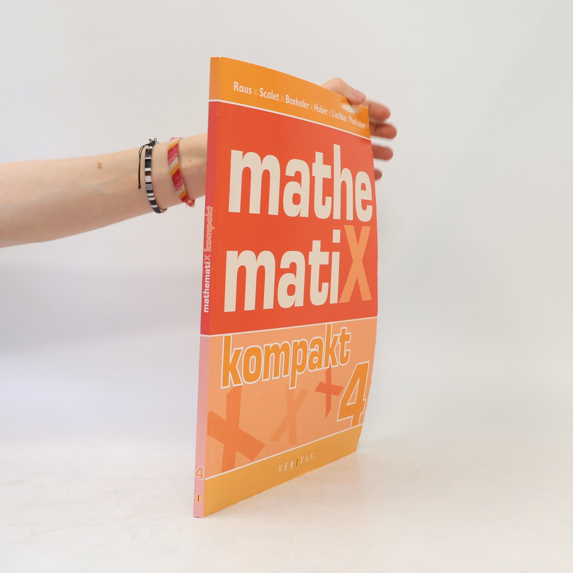 Panhuber MathematiX kompakt