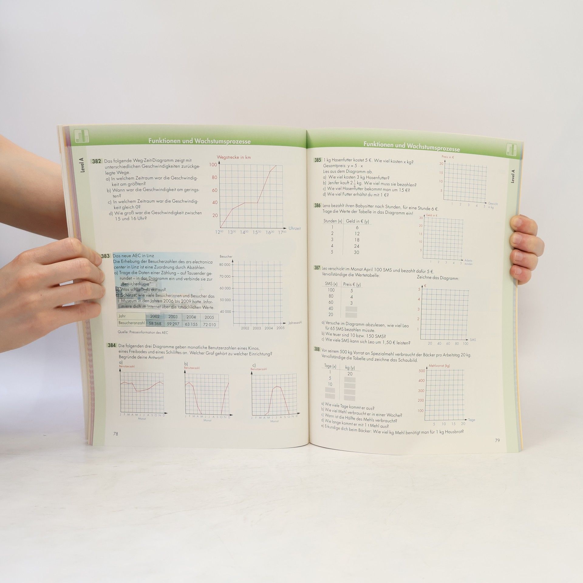 Sonja Raus MathematiX kompakt