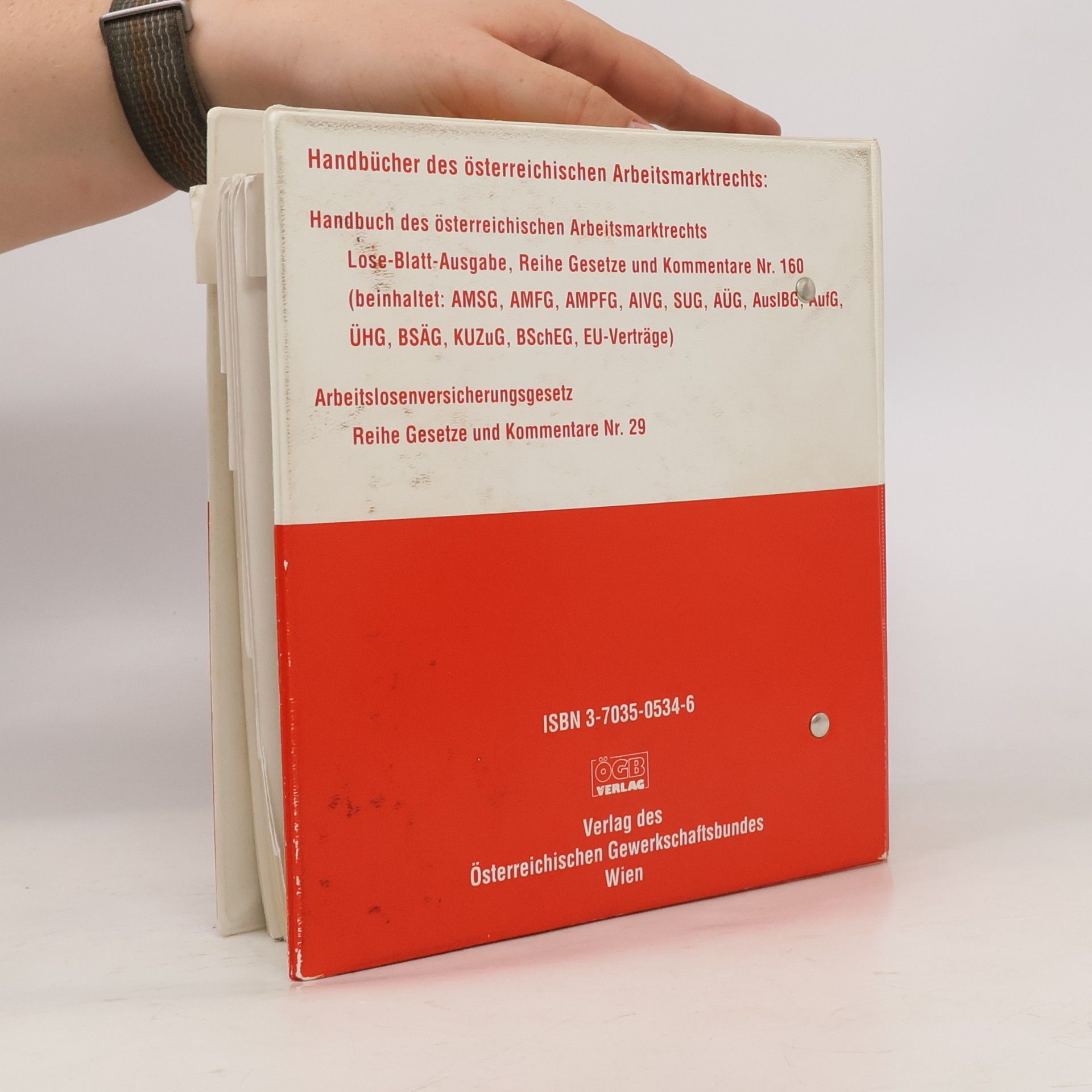 Autorenkollektiv Arbeitslosenversicherungsgesetz (AIVG) 29