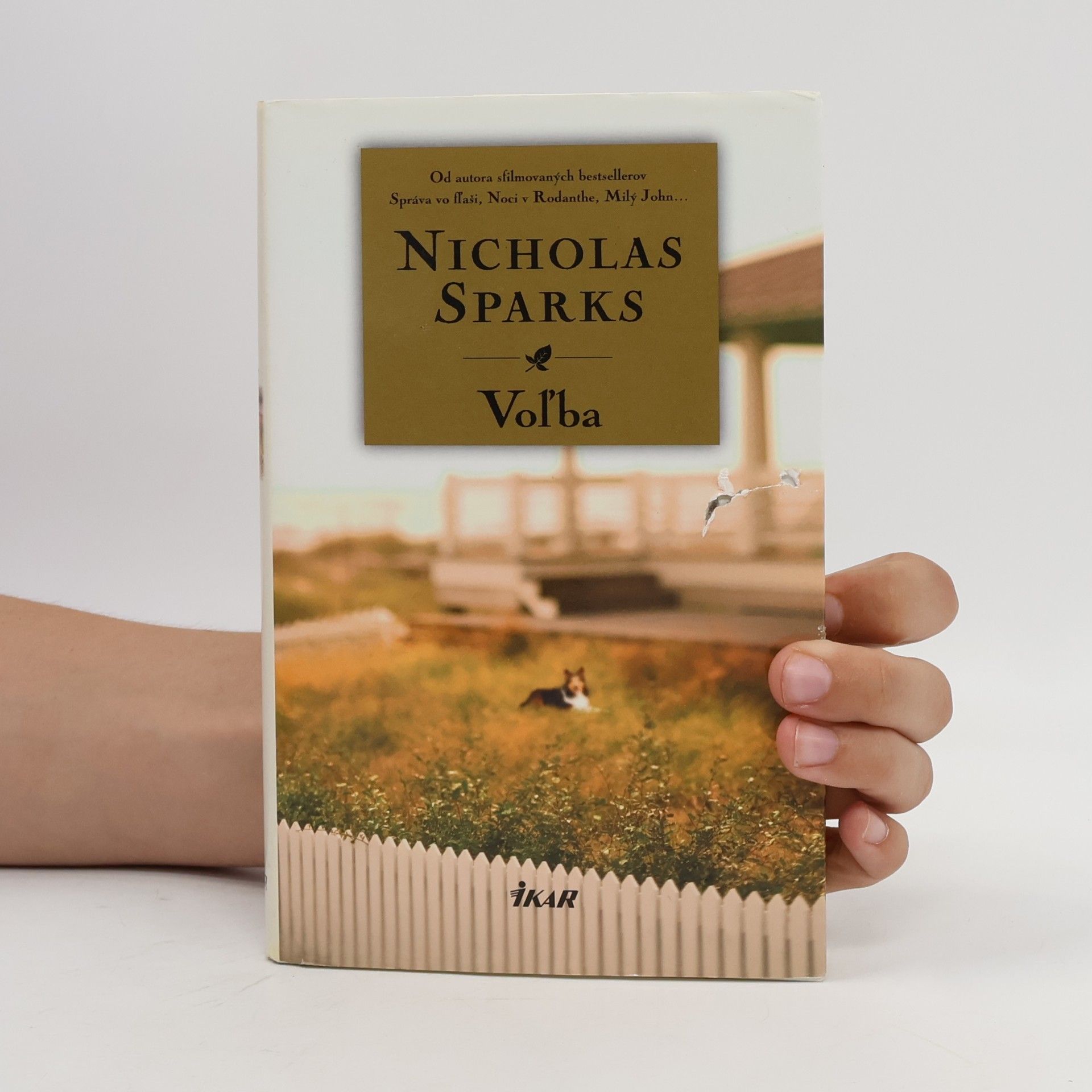 Nicholas Sparks Voľba