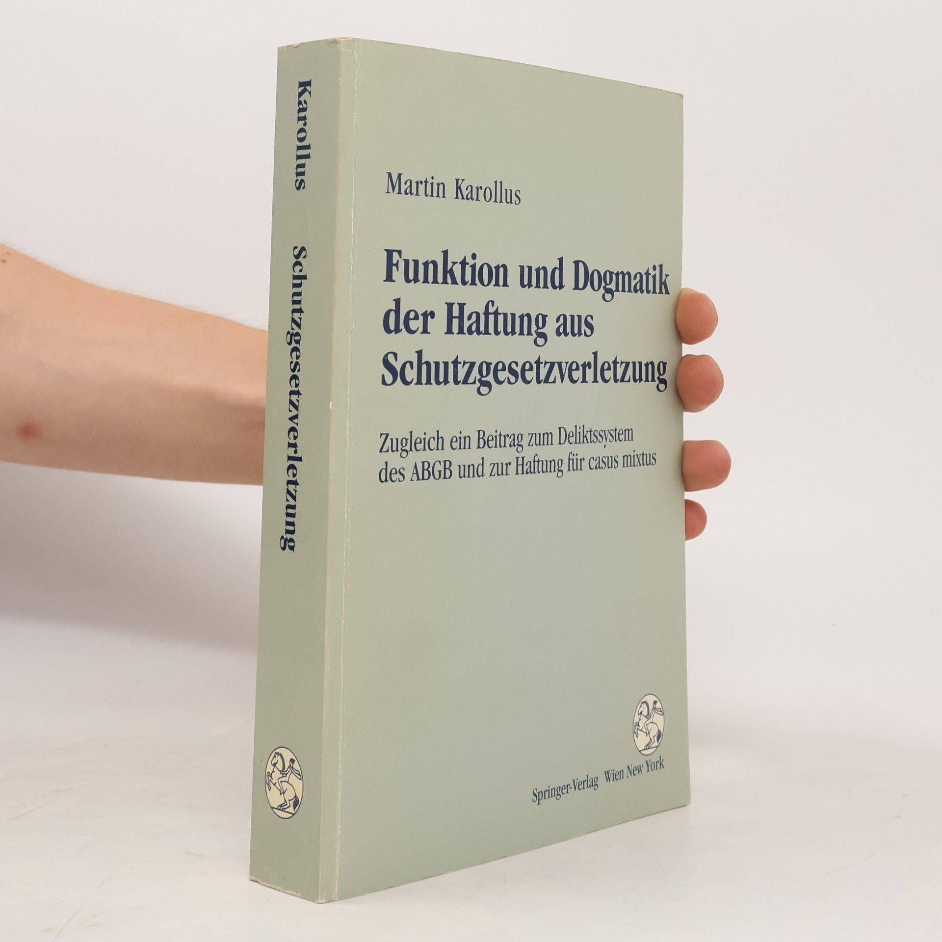 Funktion und Dogmatik der Haftung aus Schutzgesetzverletzung