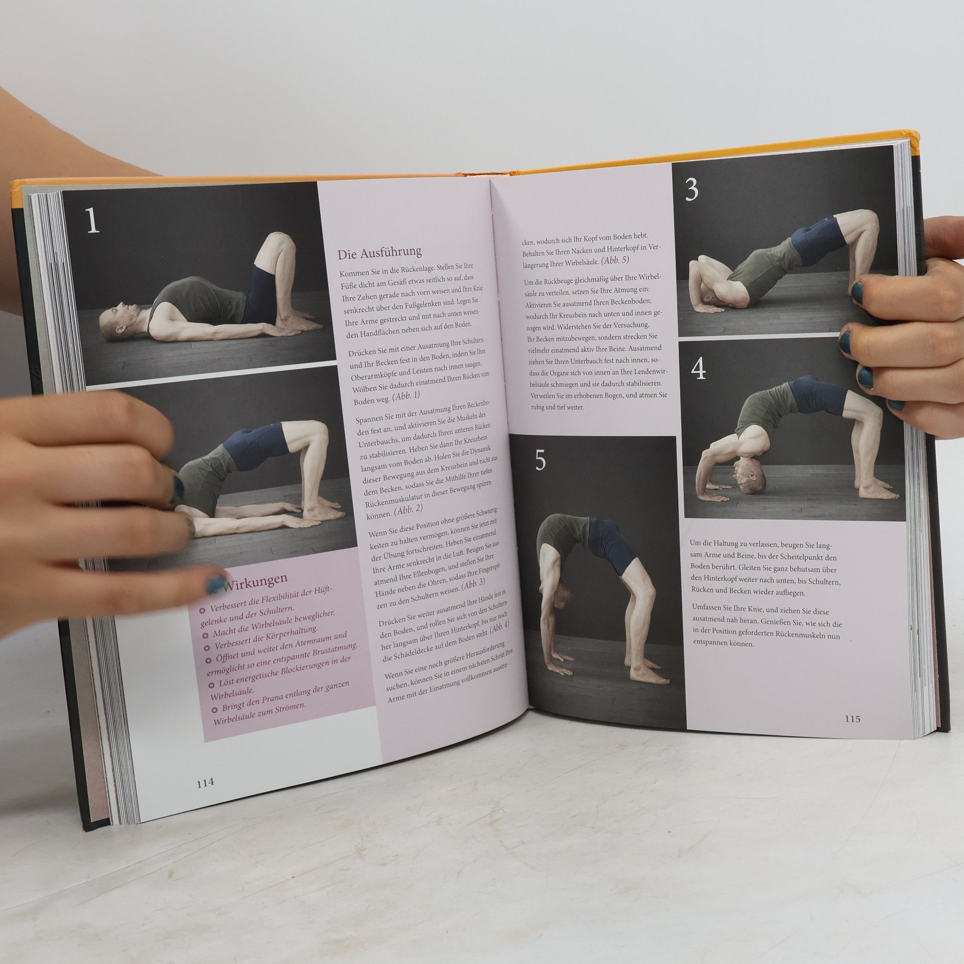 Ronald Steiner Yoga für Fortgeschrittene