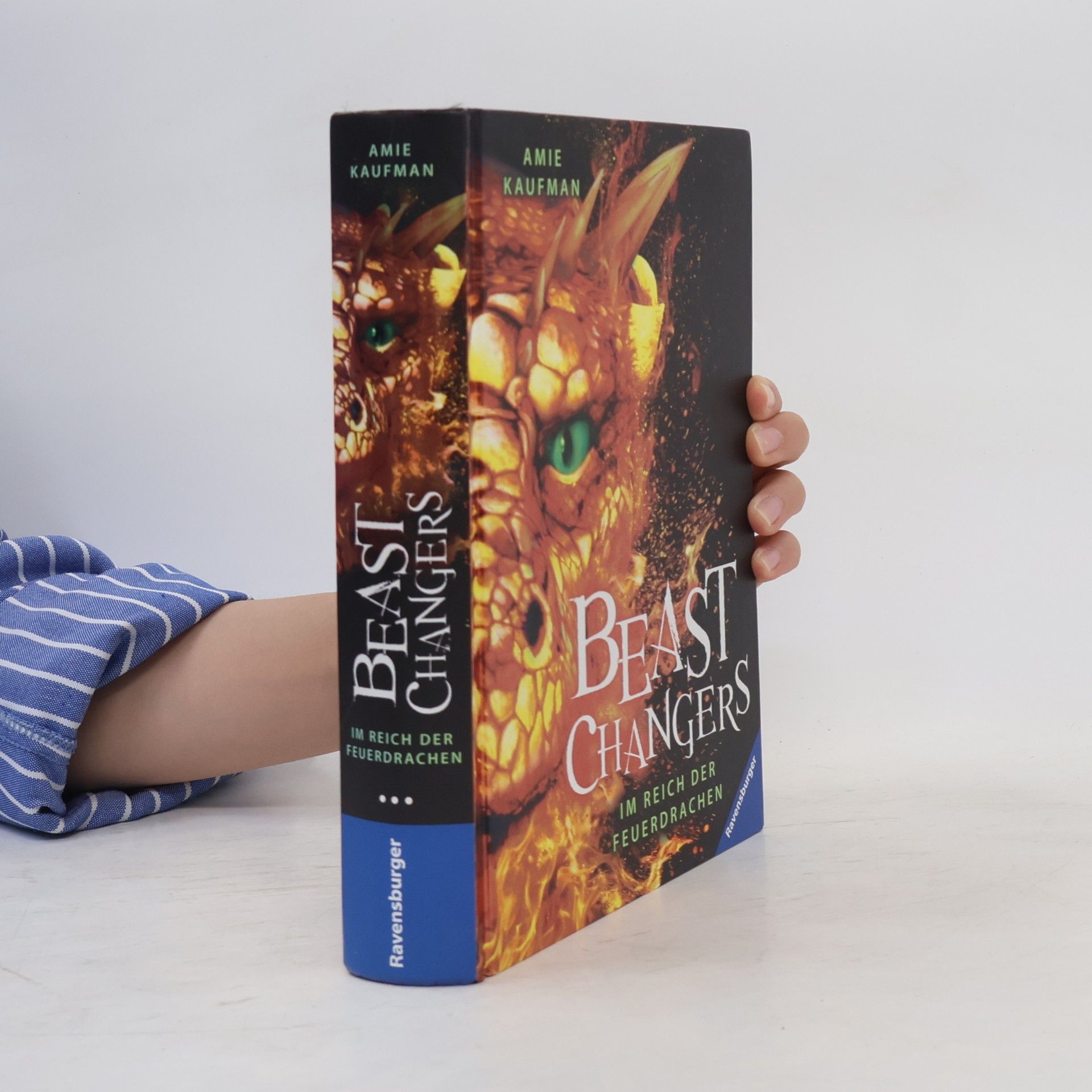 Amie Kaufman Beast Changers, Band 2: Im Reich der Feuerdrachen