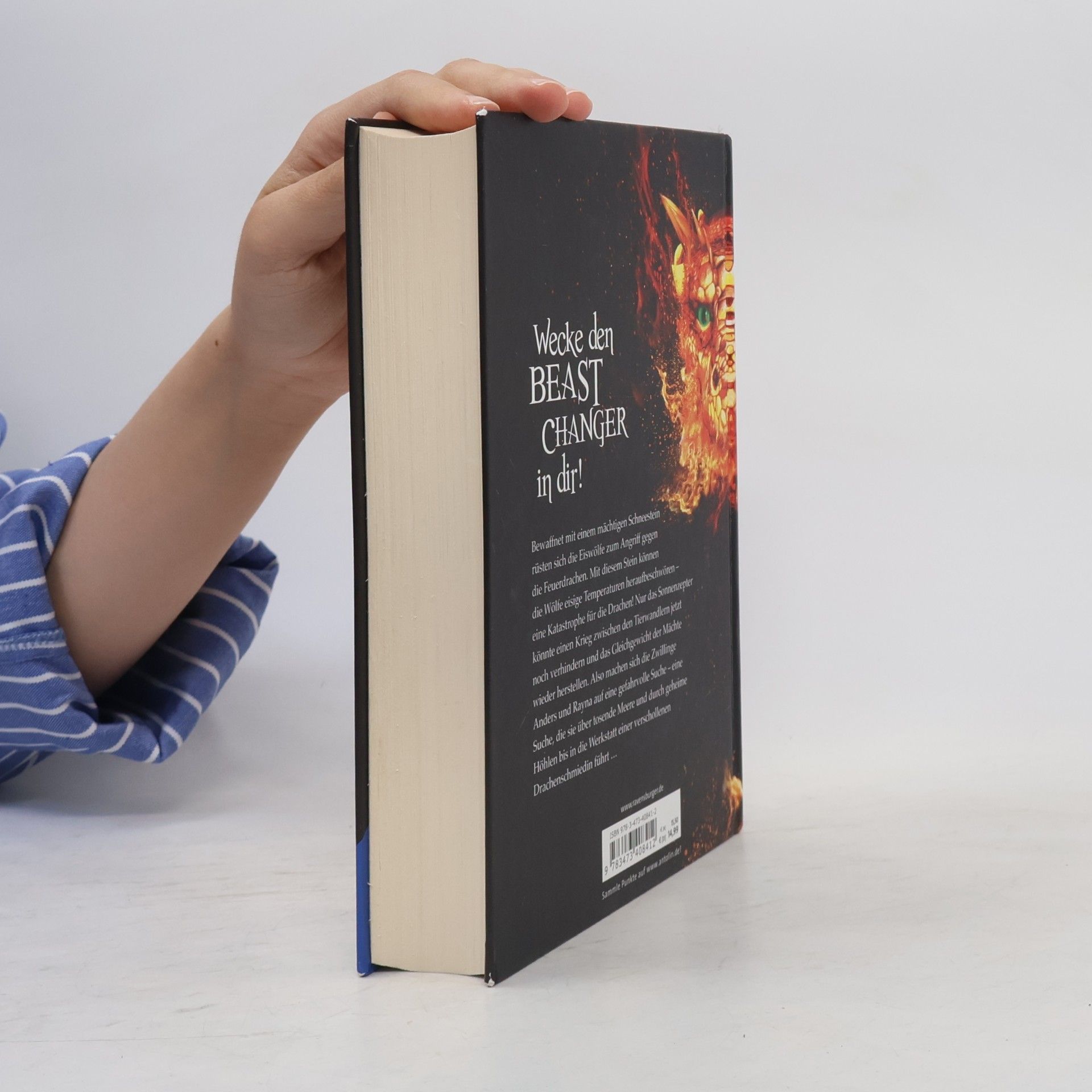 Amie Kaufman Beast Changers, Band 2: Im Reich der Feuerdrachen