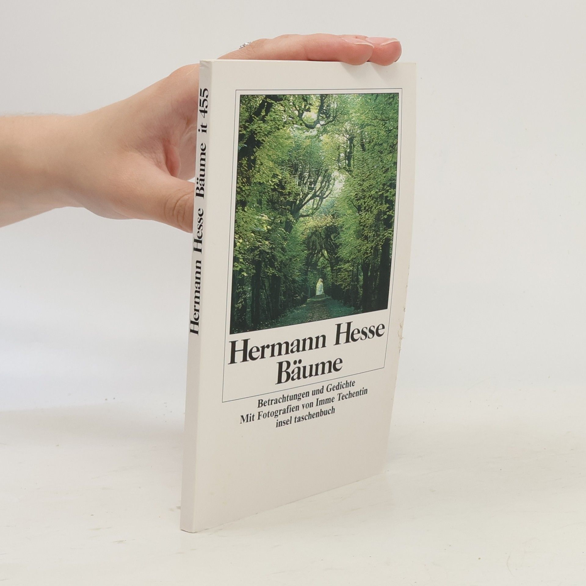 Hermann Hesse Bäume