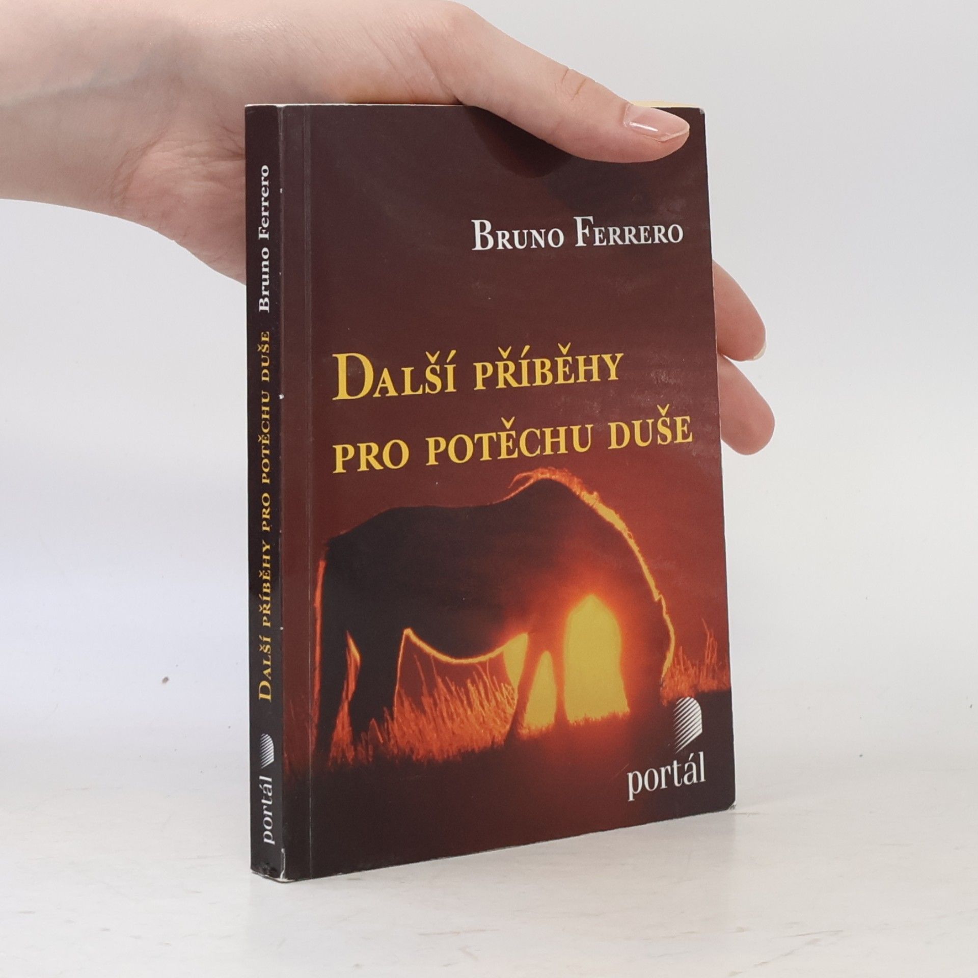Bruno Ferrero Další příběhy pro potěchu duše