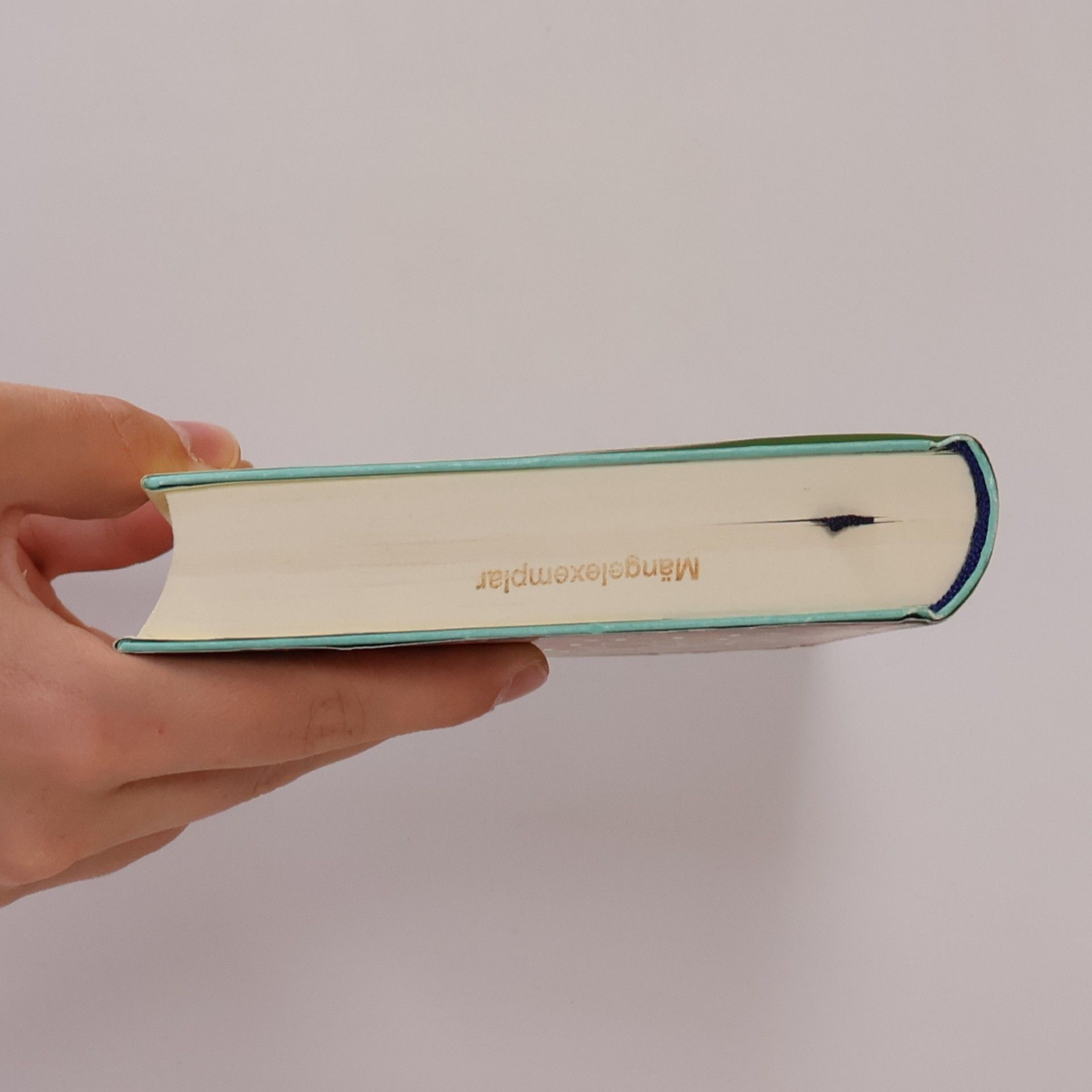 José Saramago Handbuch der Malerei und Kalligraphie