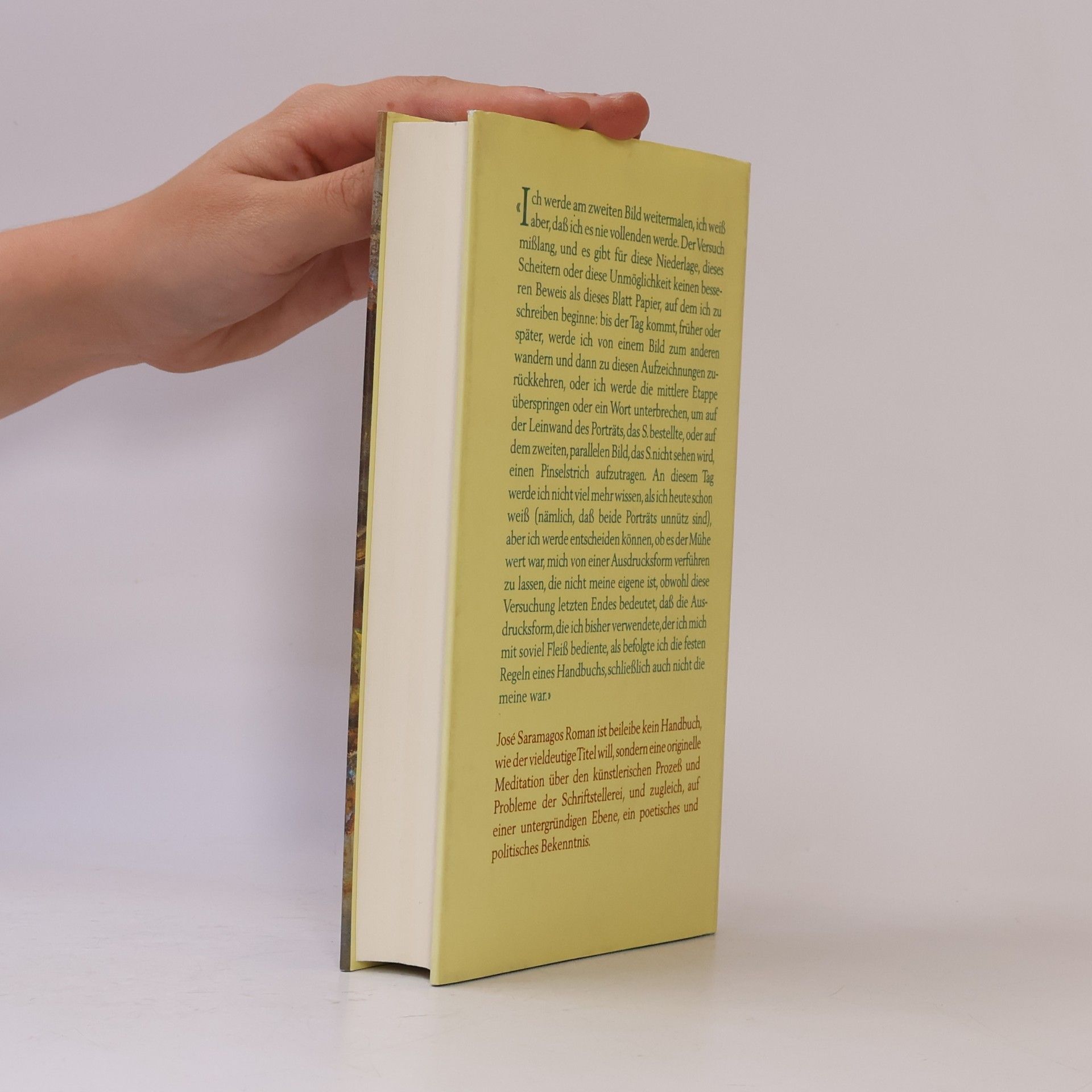 José Saramago Handbuch der Malerei und Kalligraphie