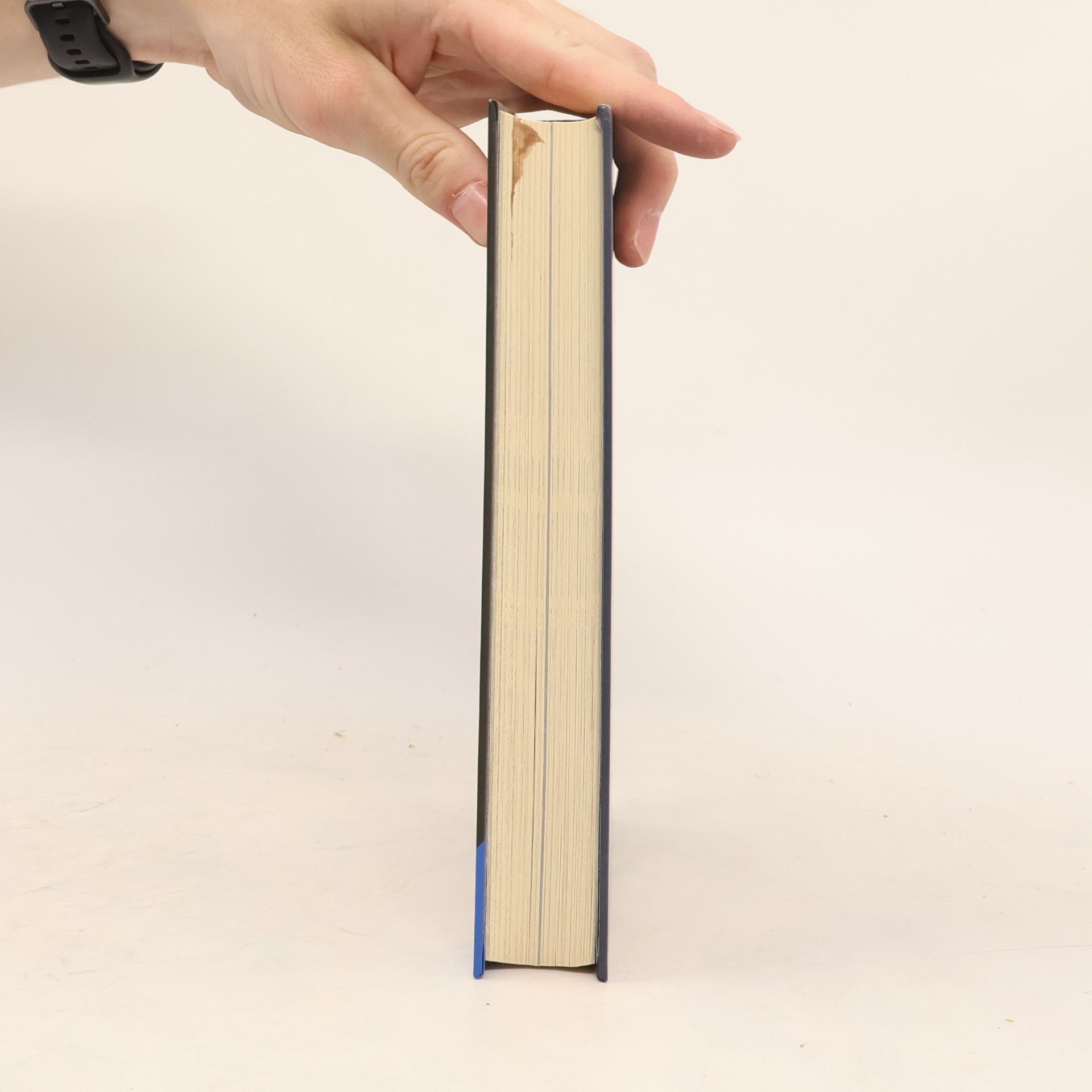 Elizabeth Rudnick Die Schöne und das Biest