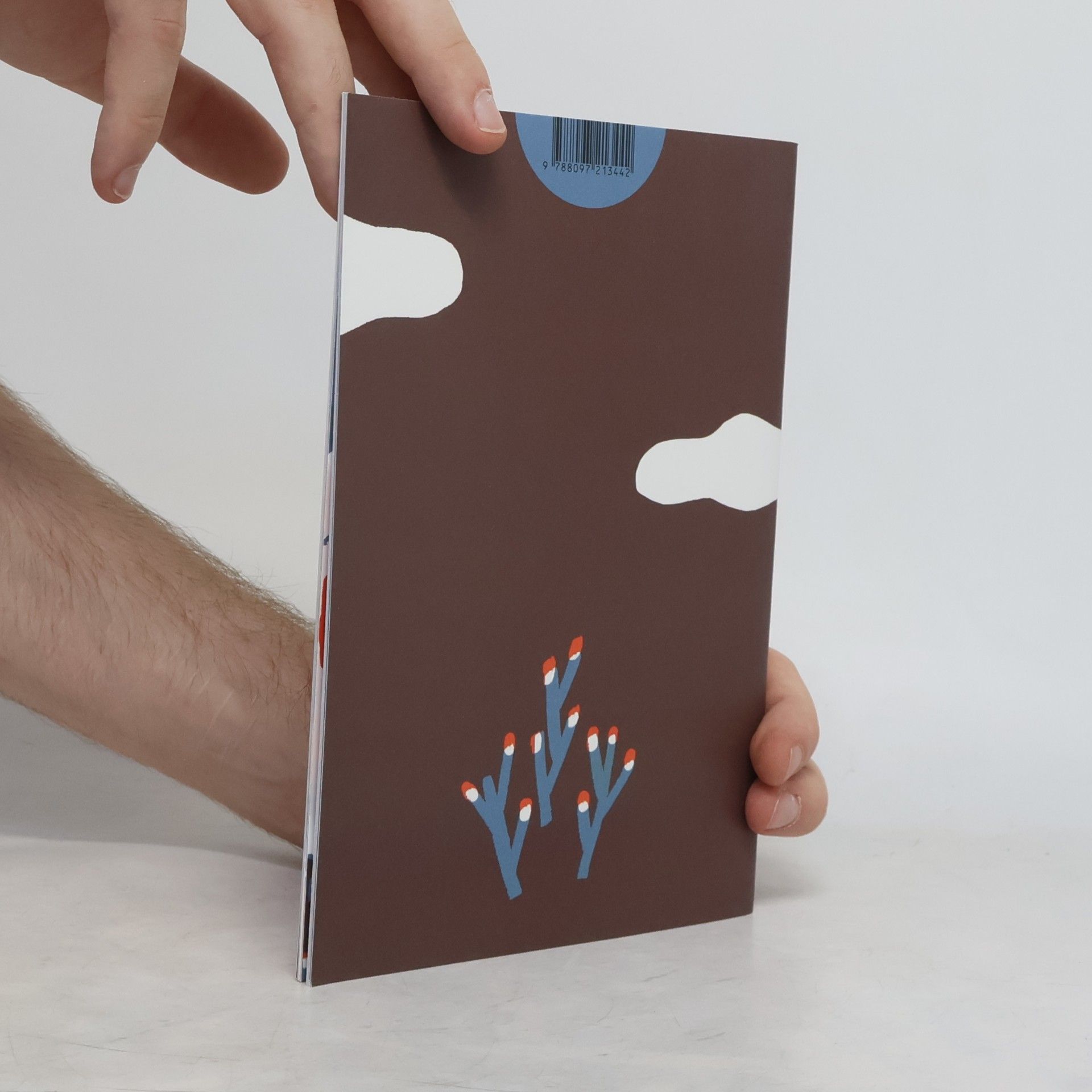Alica Raticová Čiapočka