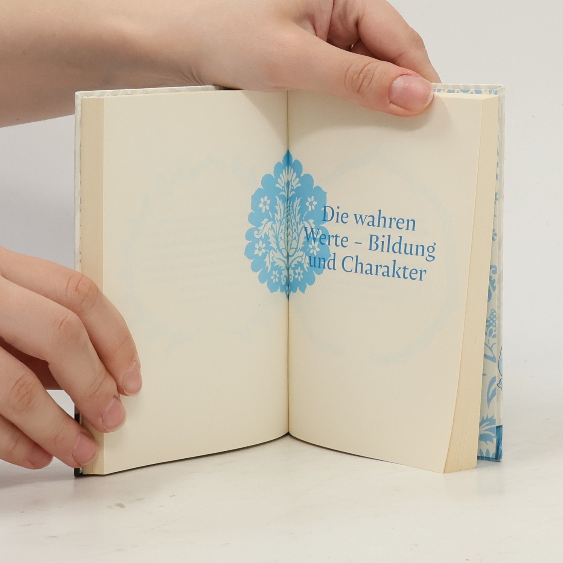 Jane Austen Witziges und Weises, Geniales und Gemeines von Jane Austen