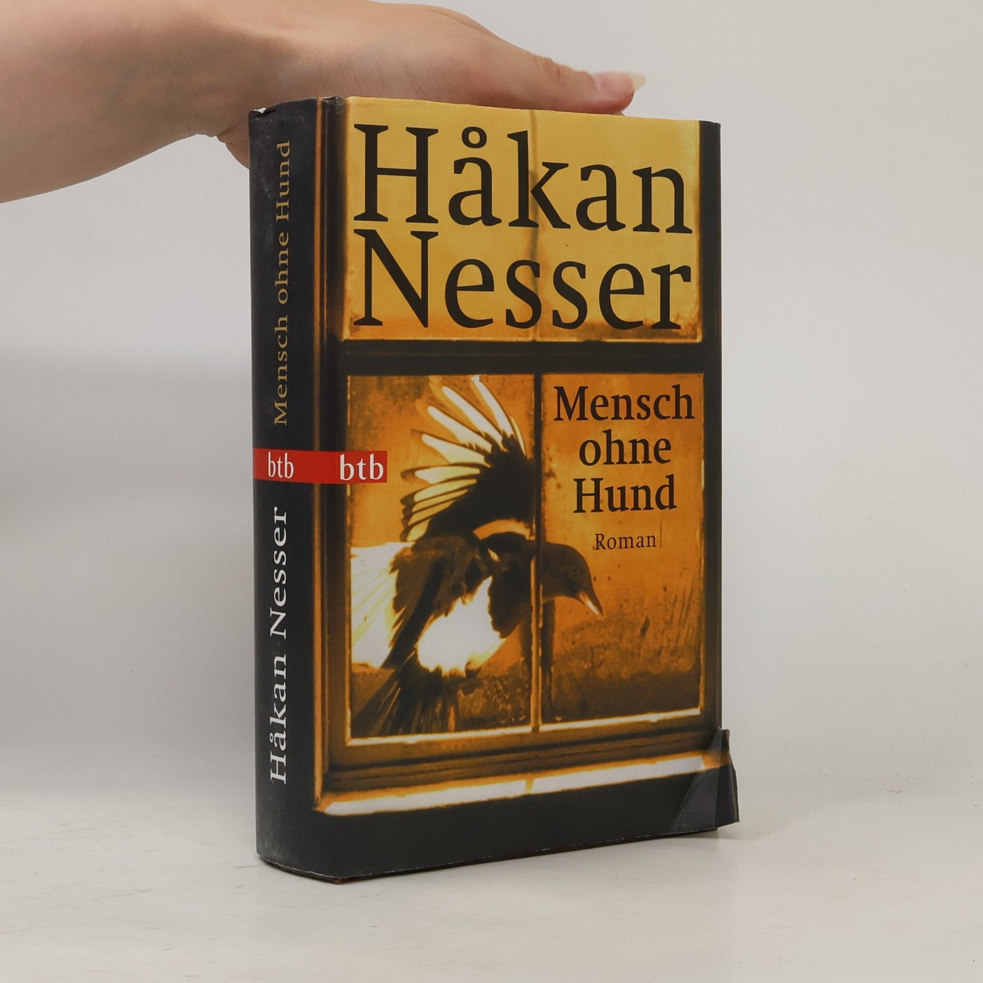 Hakan Nesser Mensch ohne Hund