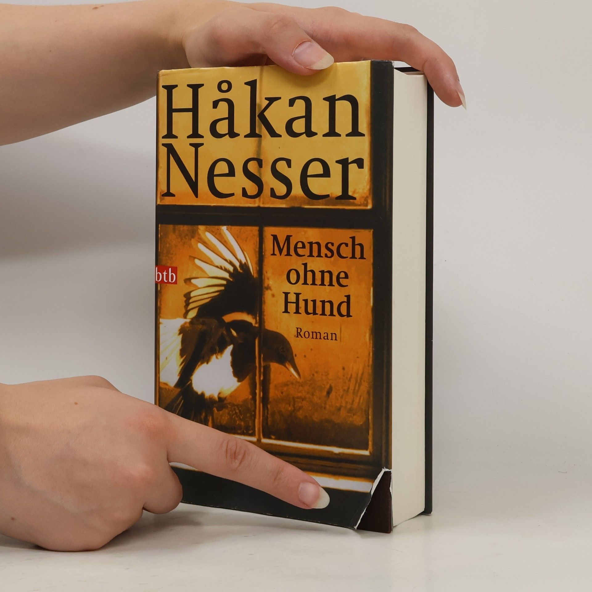 Hakan Nesser Mensch ohne Hund