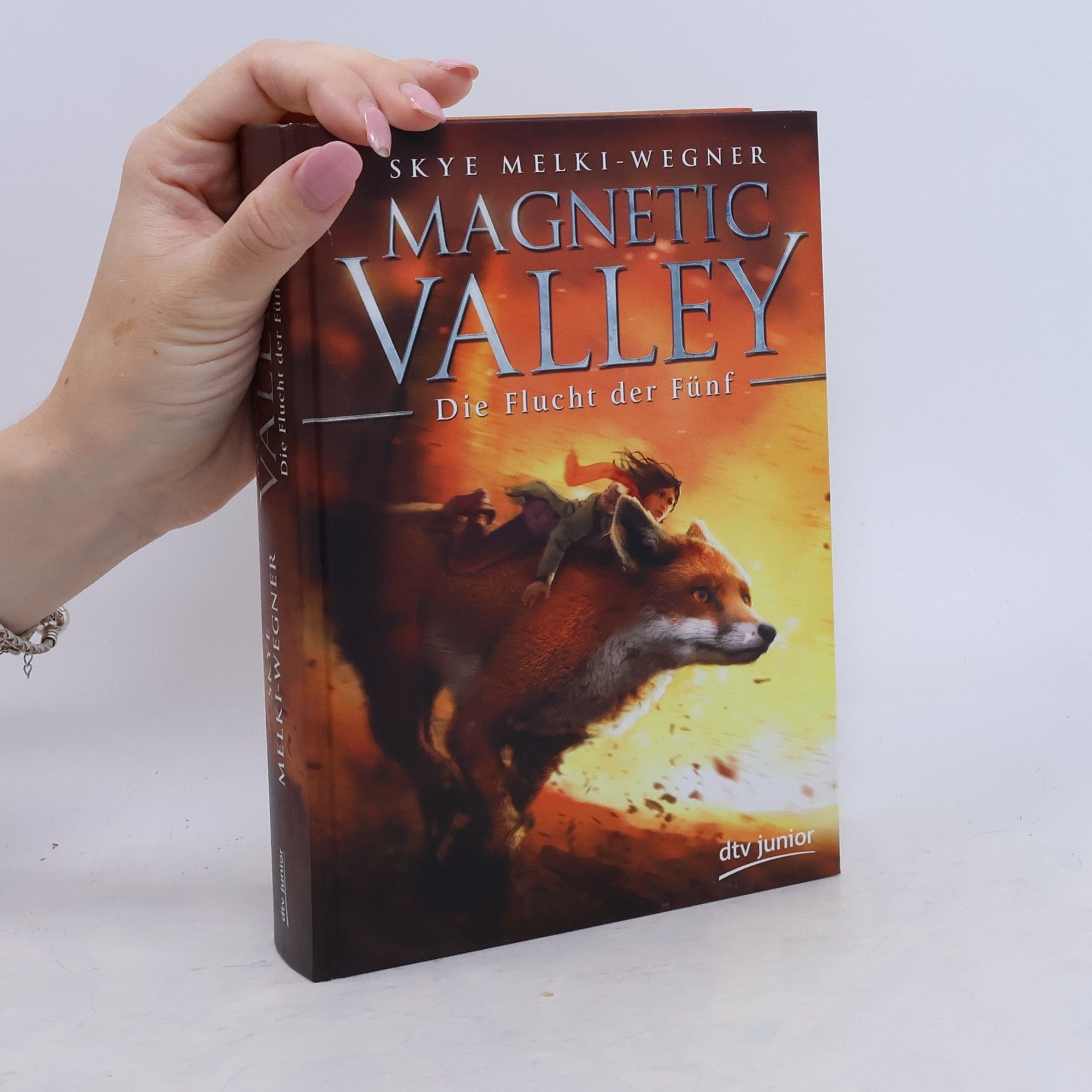 Skye Melki Wegner Magnetic Valley - Die Flucht der Fünf