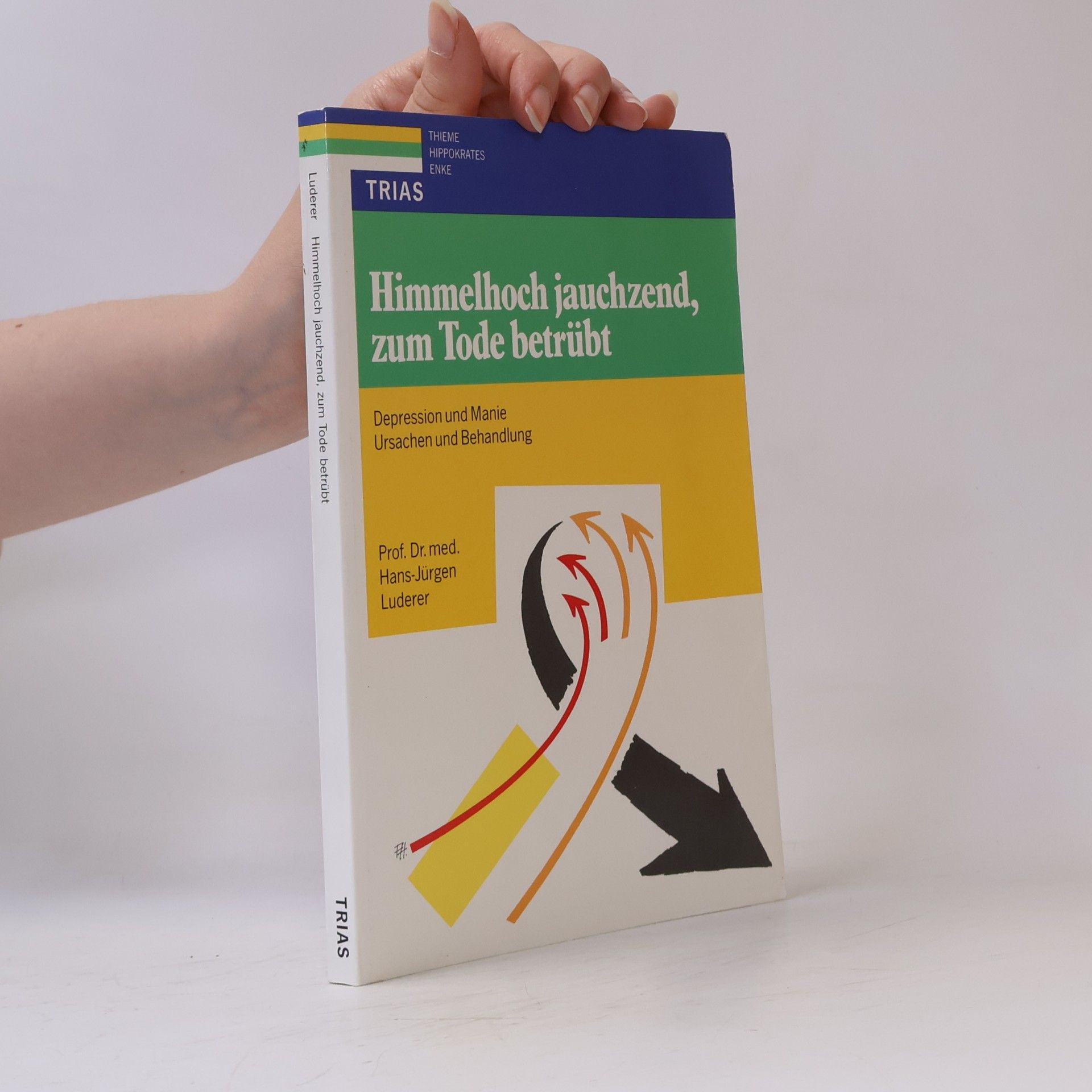 Hans-Jürgen Luderer Himmelhoch jauchzend, zum Tode betrübt