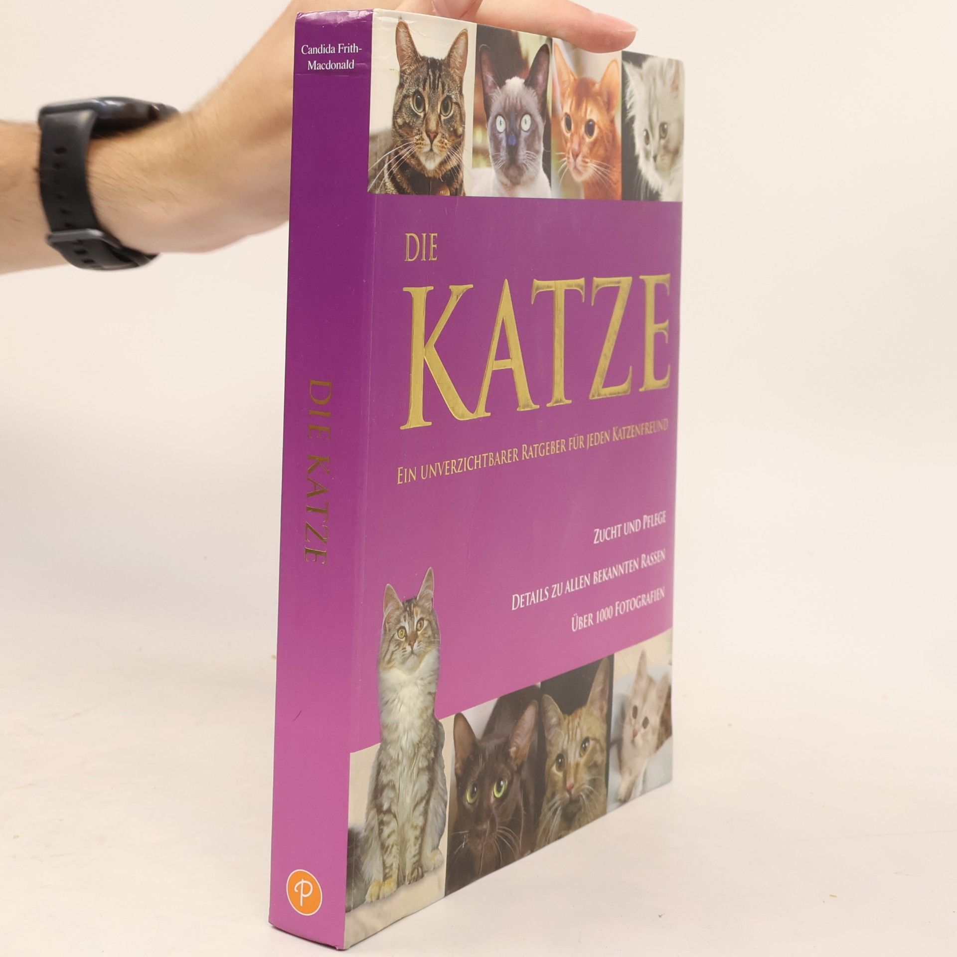 Kolektiv autorů Die Katze