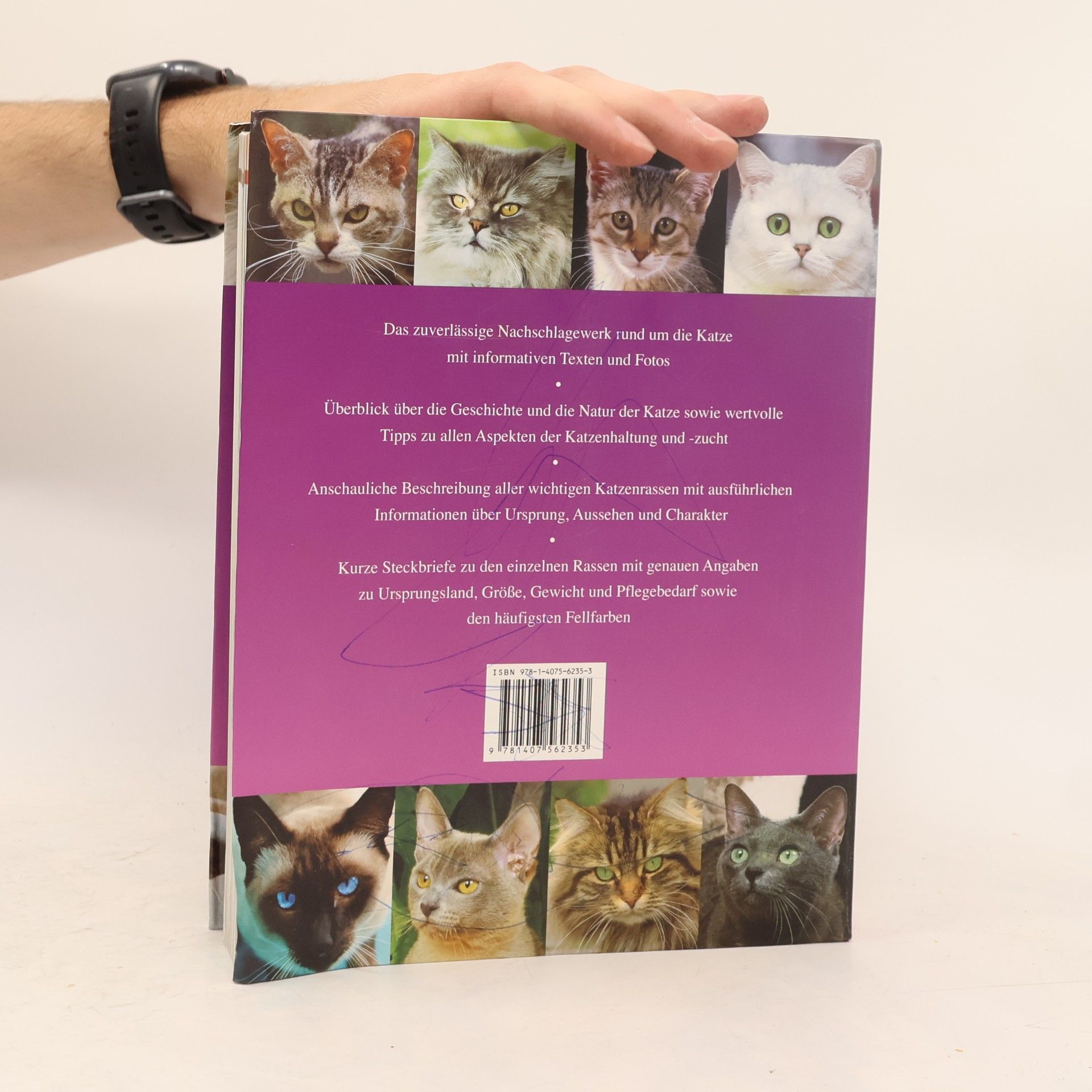Kolektiv autorů Die Katze