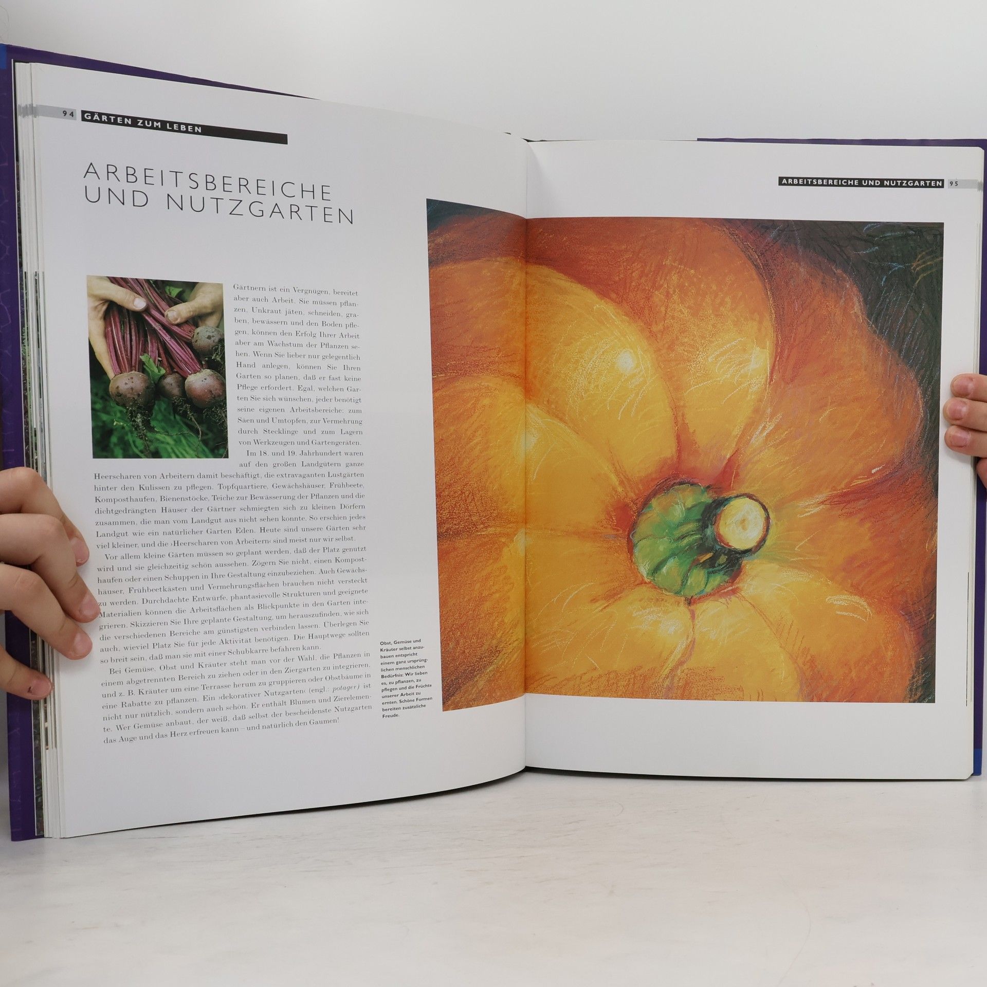 Terence Conran Garten-Ideen, Garten-Design